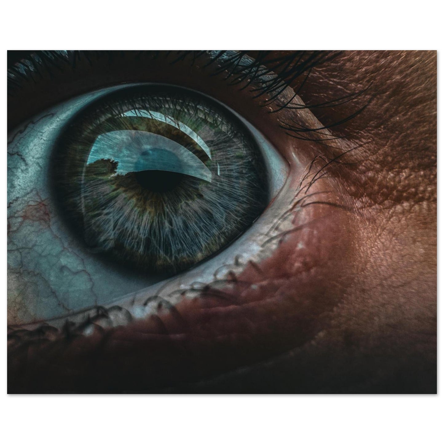 167fd5aa-9d6b-4872-9420-b35a4a2c2579