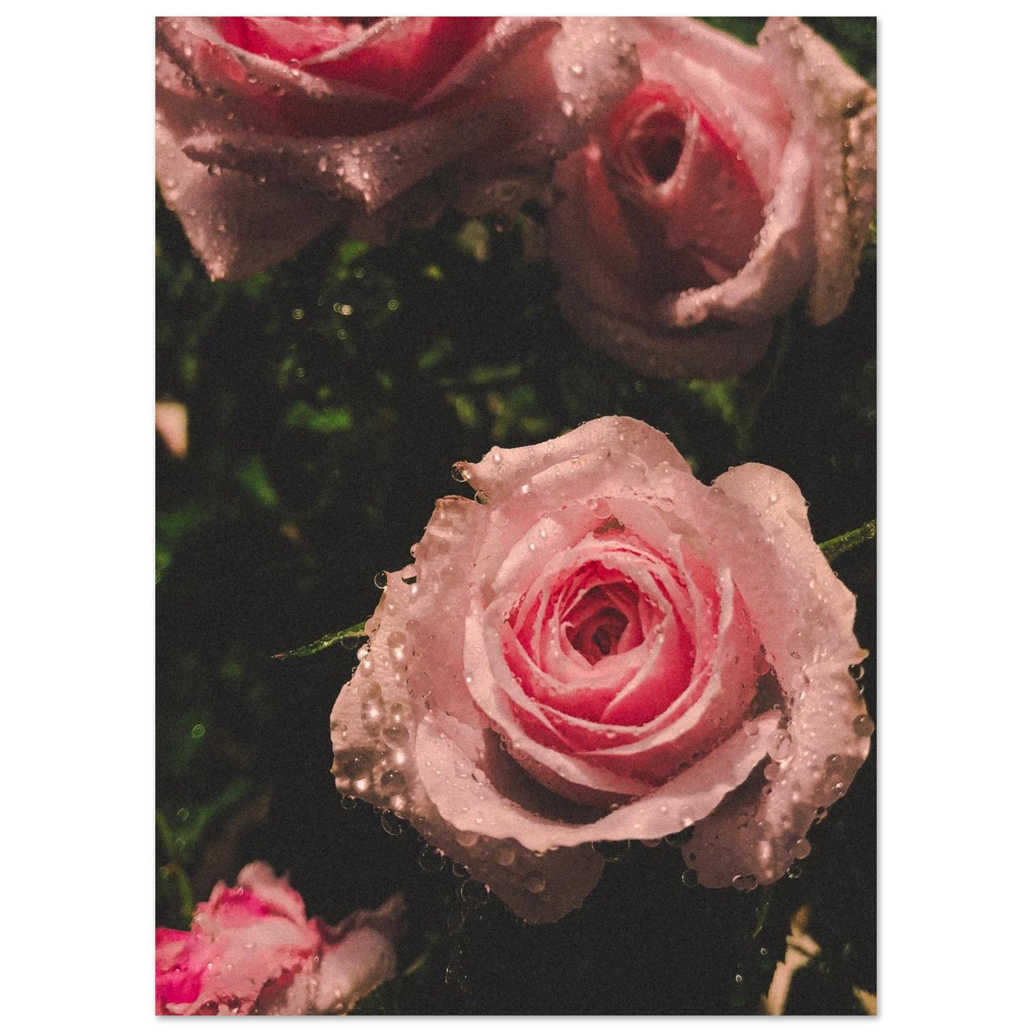 168f88b6-b2e0-4185-8ae8-969496da64b9