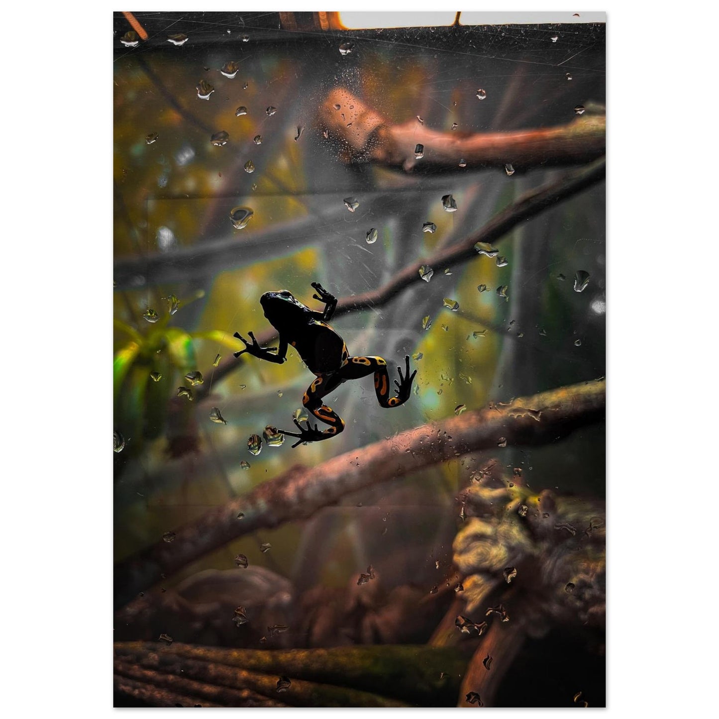 172205d5-6a52-446f-89c7-b2b7fb23de74