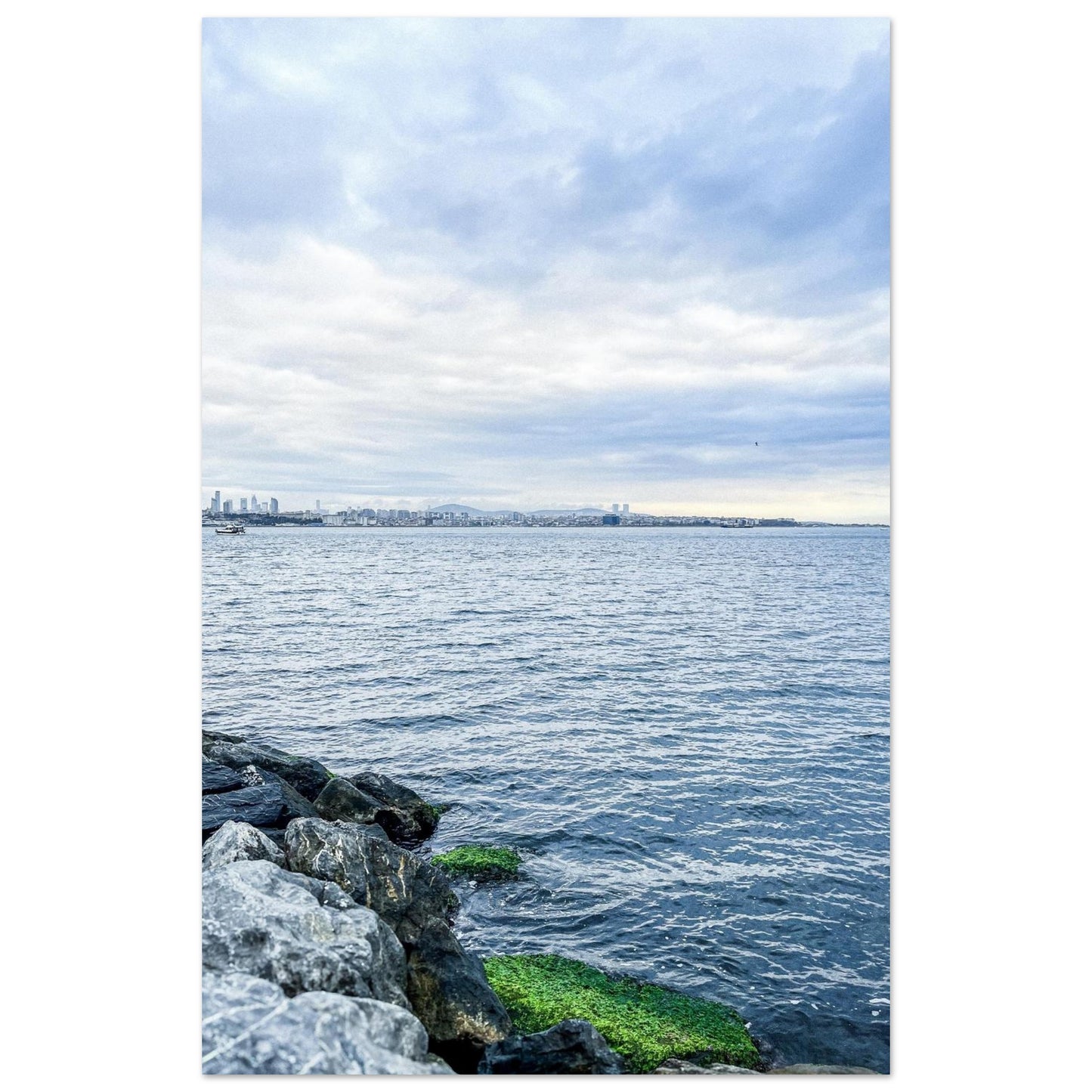 1856957a-d2a1-4926-9660-f776b6d04650