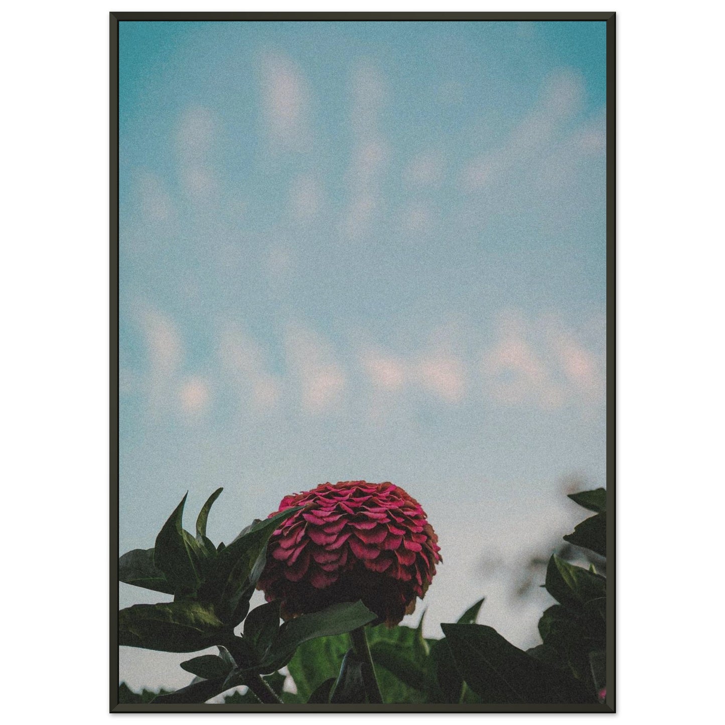 19810281-9f06-43ae-a4cf-6166471fab35