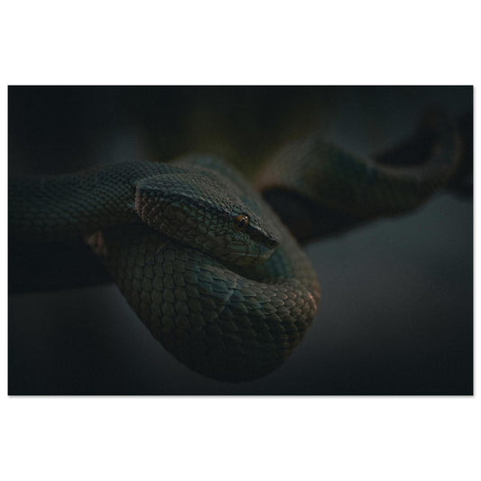 1a192a5b-d9fc-419f-b24d-204e34e369d5