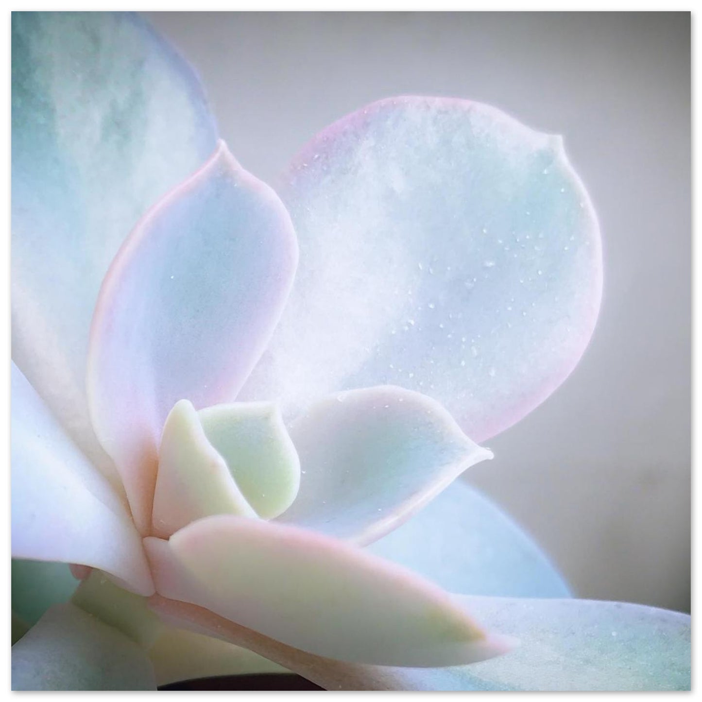 1c22dbba-b547-4f7e-a050-c9226d6b7793