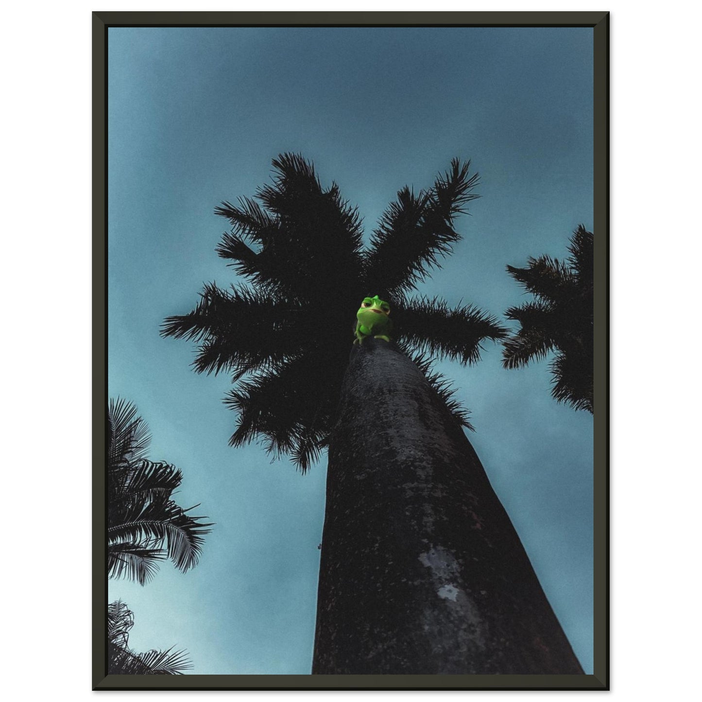 1c7ce39f-75fe-405c-aca2-7c91ab43da3b