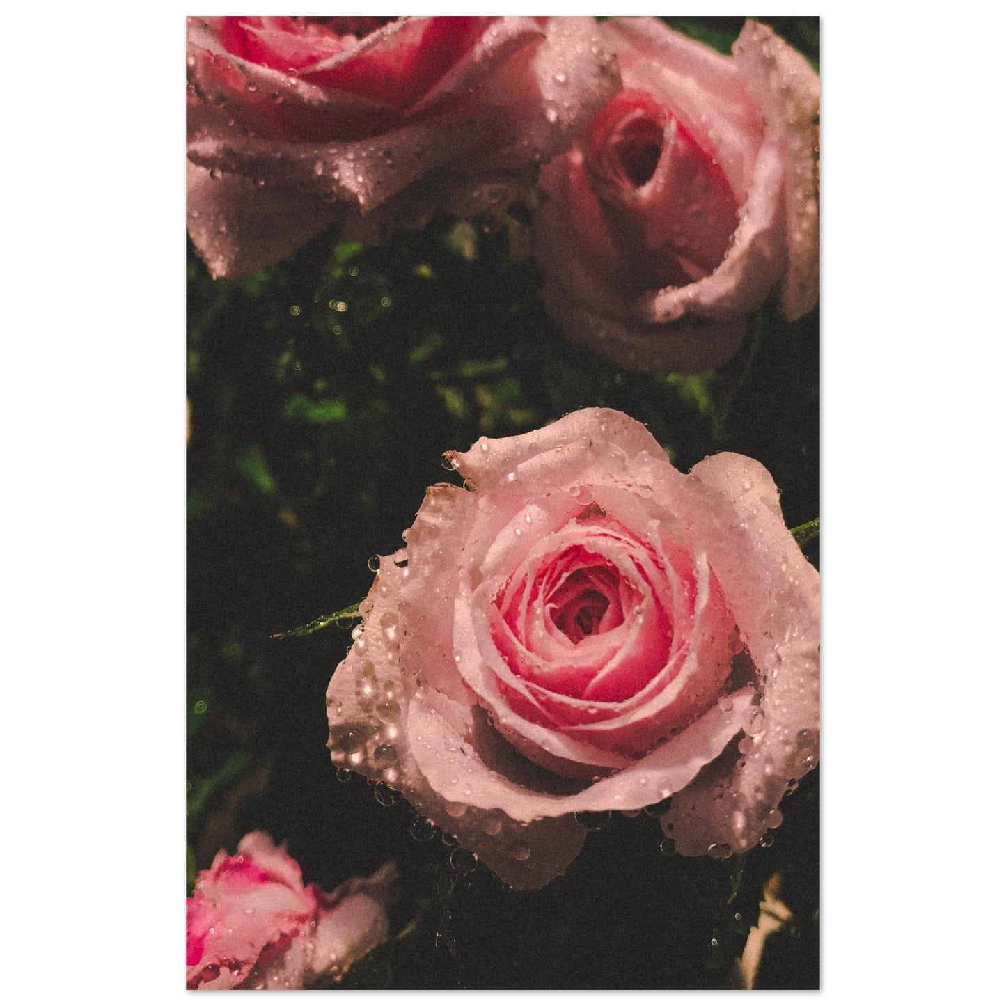 1cdcf537-d6ba-4613-9652-51d69483525f