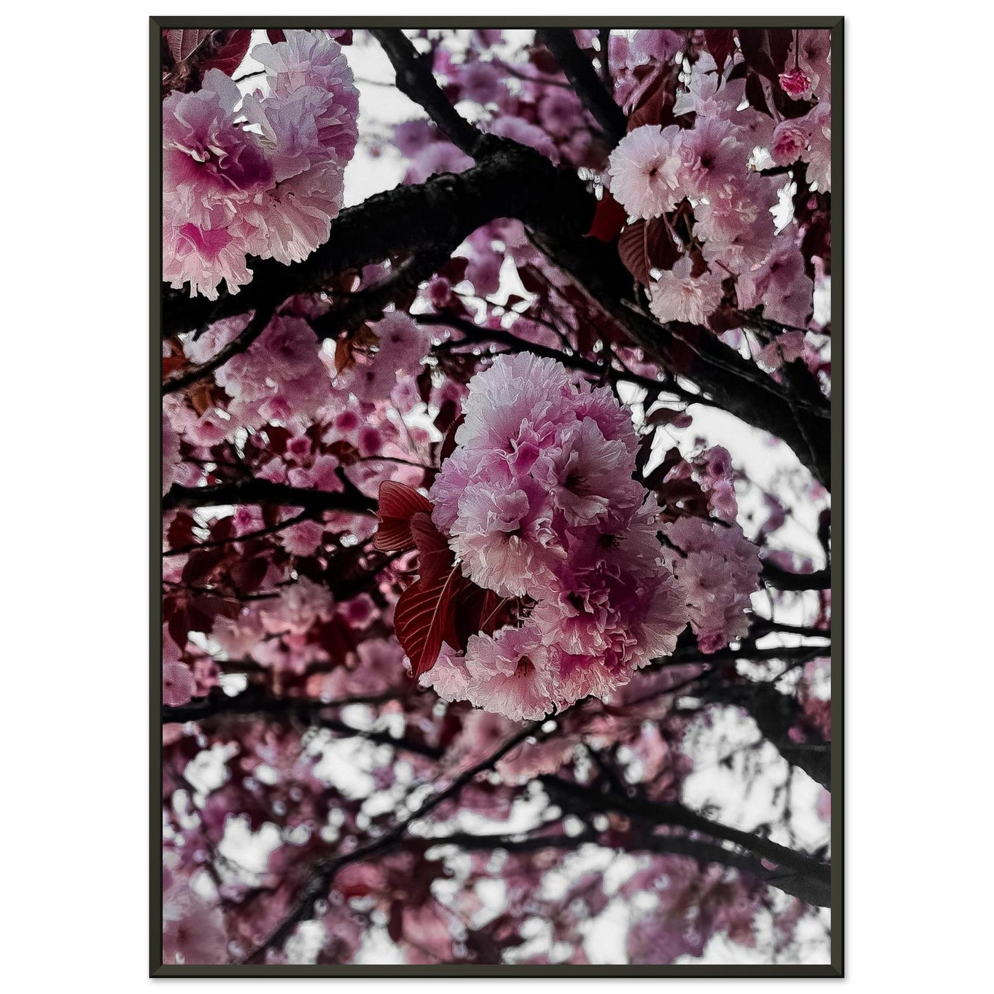 1e14fffa-dcce-4fae-b77f-a4c06a0bcba5