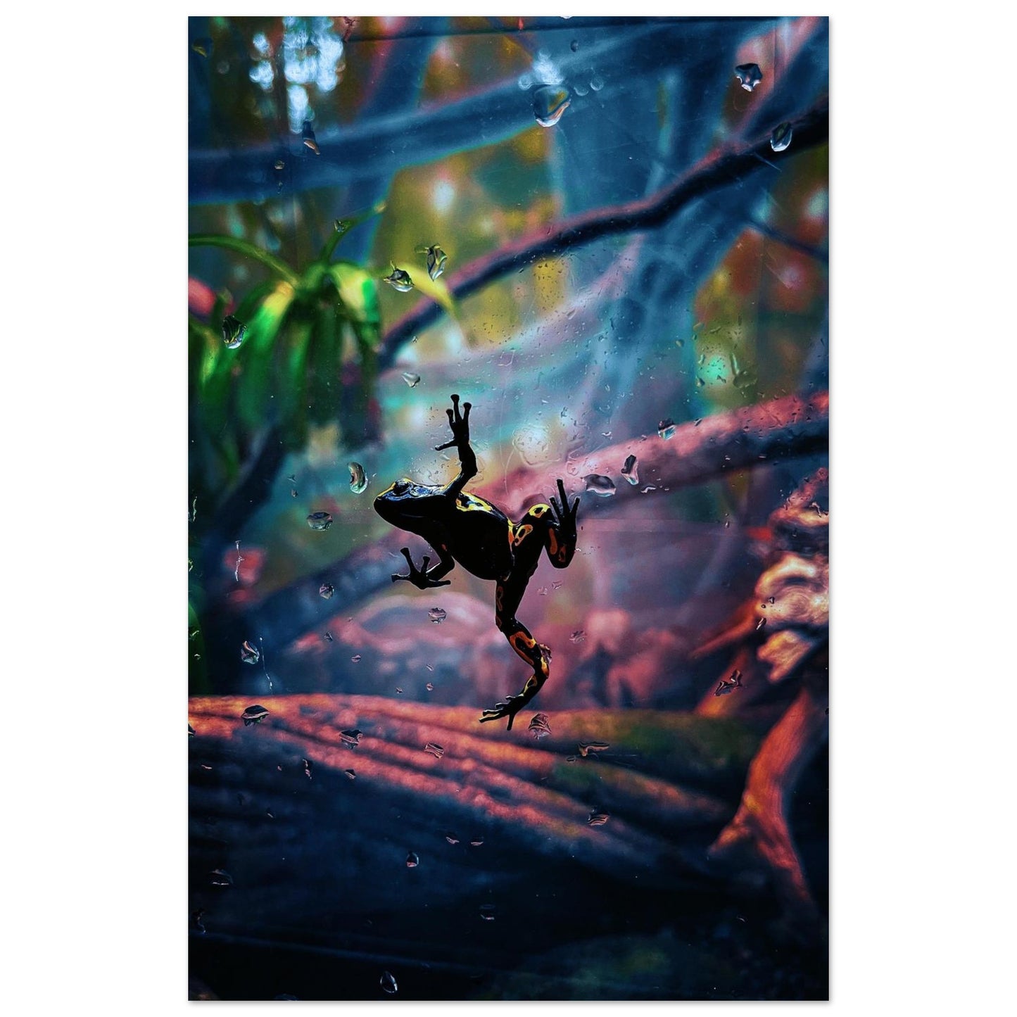 1e308d7f-f06e-44d8-8aca-a80d1387f266