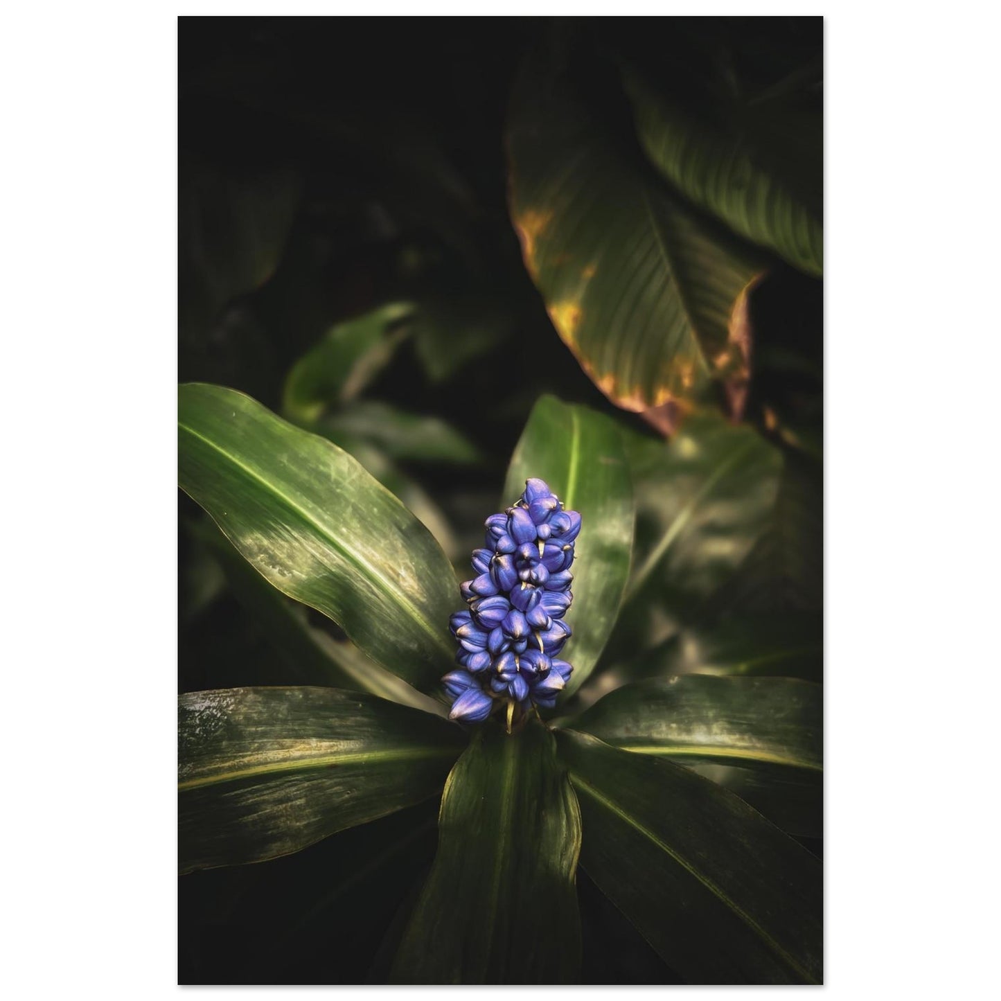 1e5524a3-7275-4e92-bb29-294dbddc4364