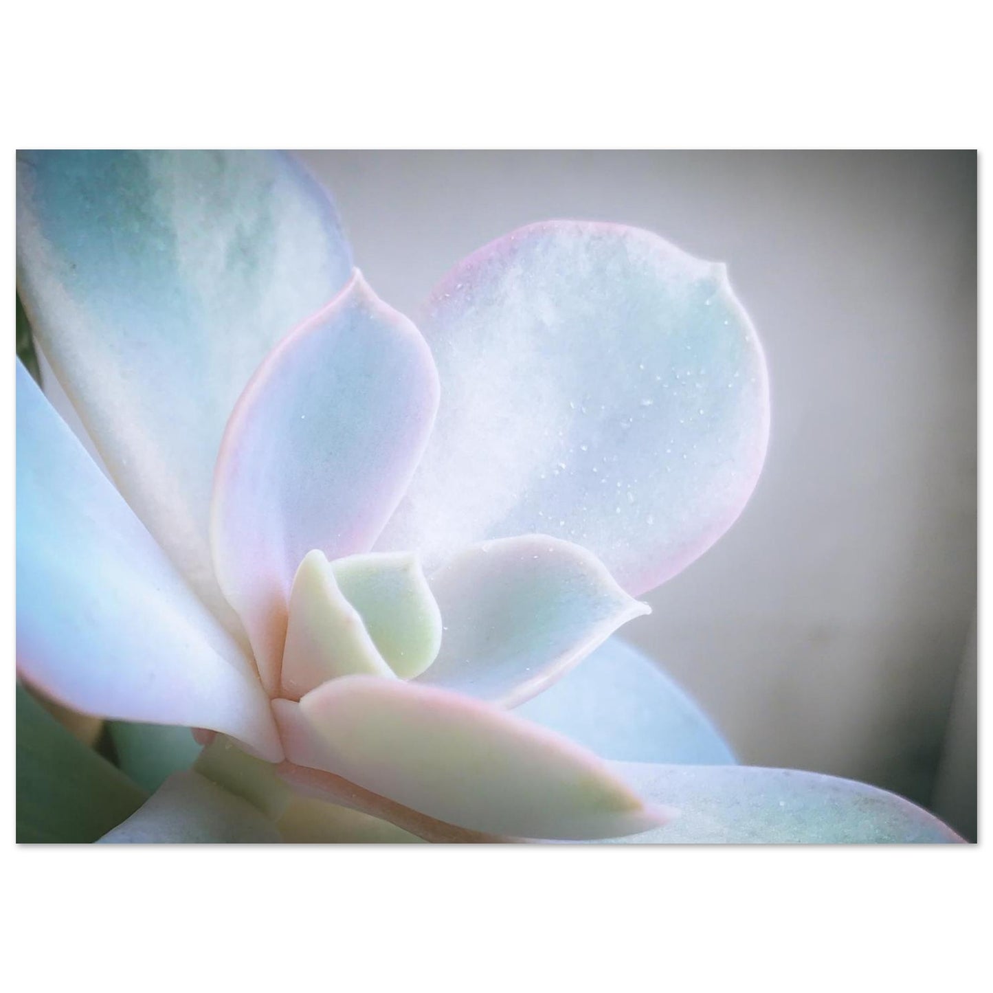 201e4092-ec2b-4cc7-ae1d-7008b059047c