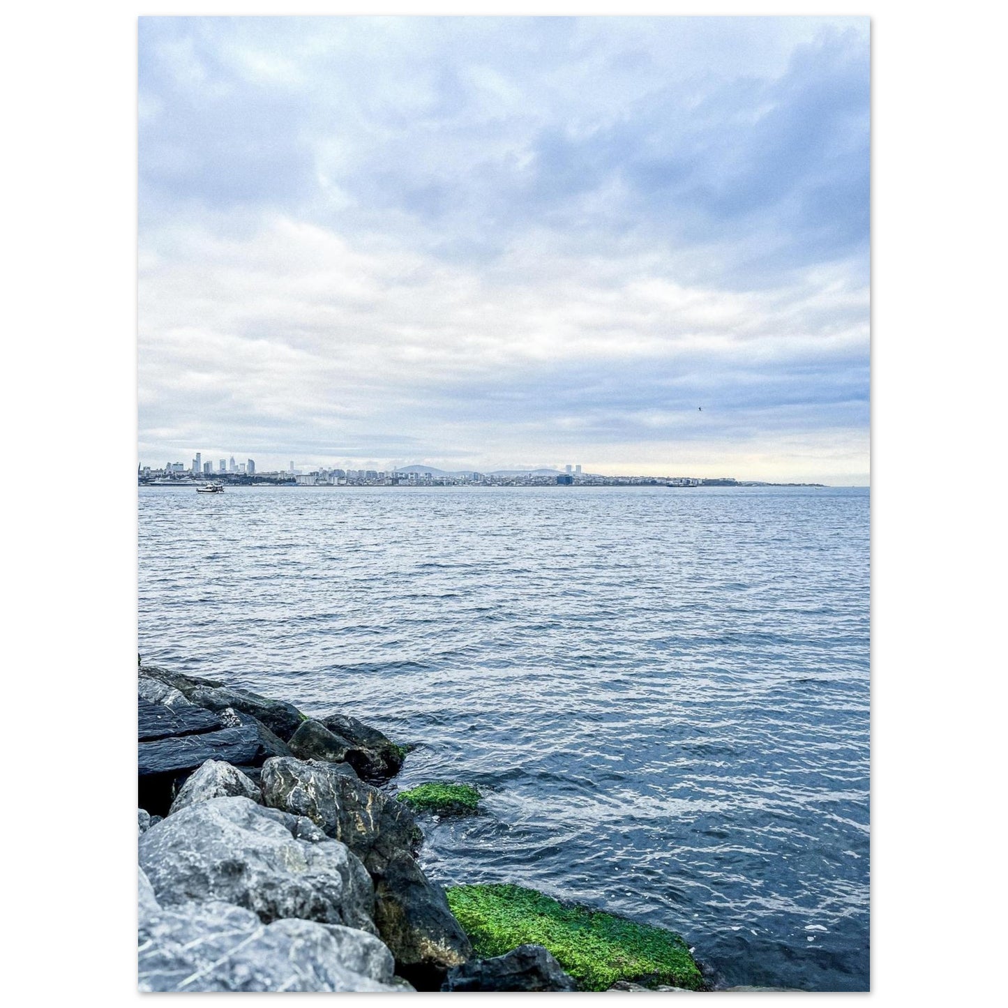 203c4aed-fa3c-4483-a26b-a0efe2d56b7f