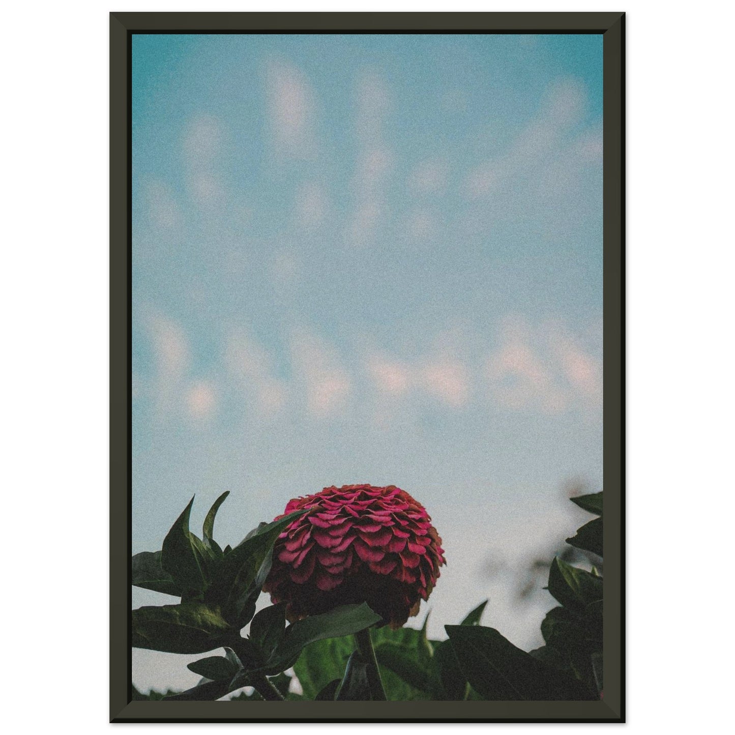 204878e1-2408-4eb1-9956-d6a35a944e6d