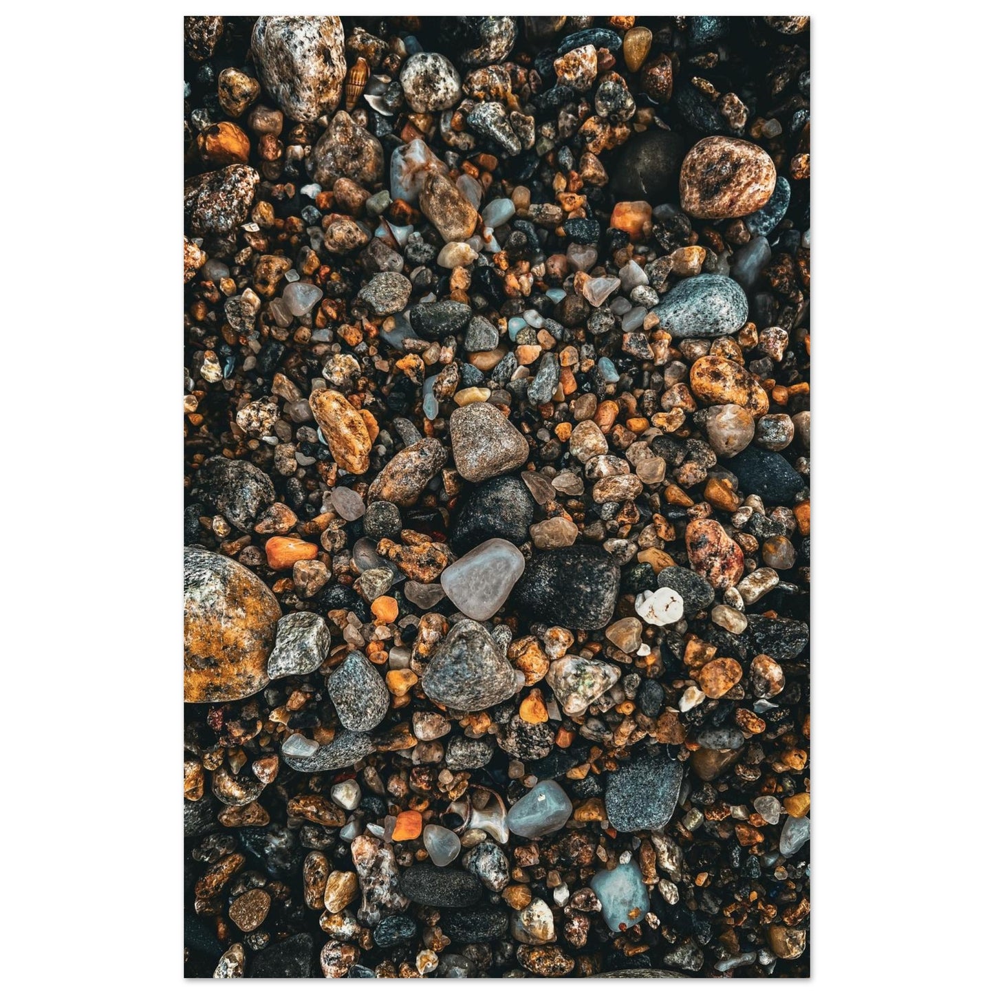 2241c20e-6310-4358-90ce-396e0c5dad00