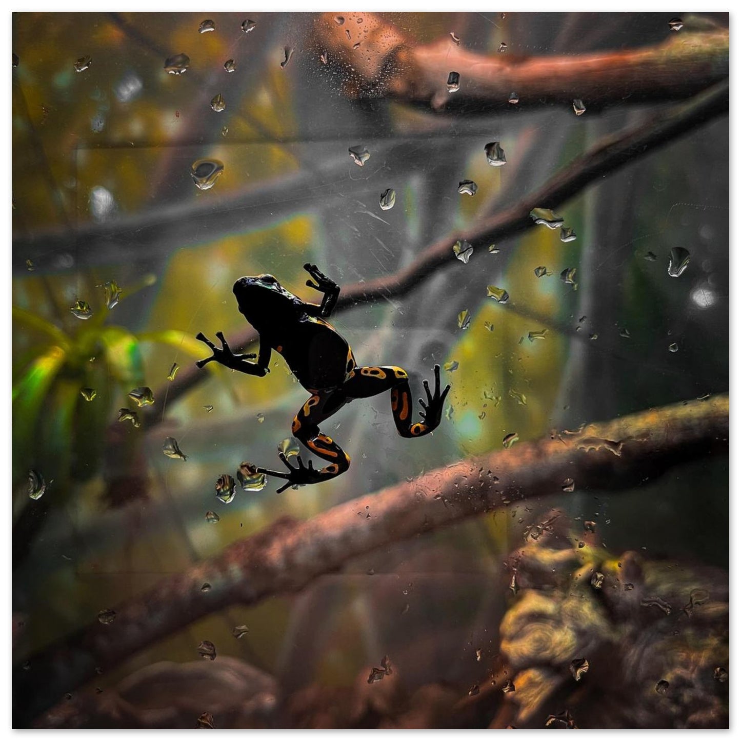 2482da17-da1c-4baa-904d-24b4c32fb1cb