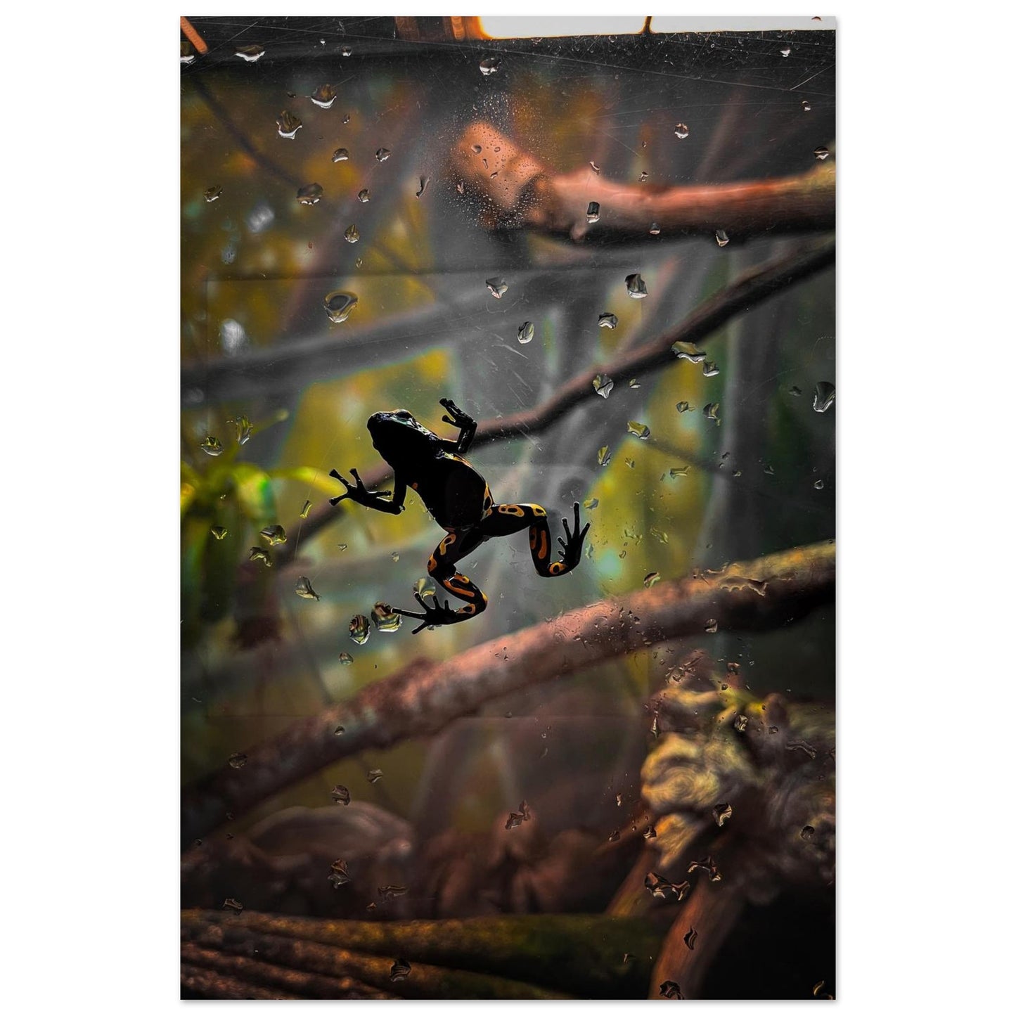 268c1052-6bf5-4de8-a241-3fd70bbc036b