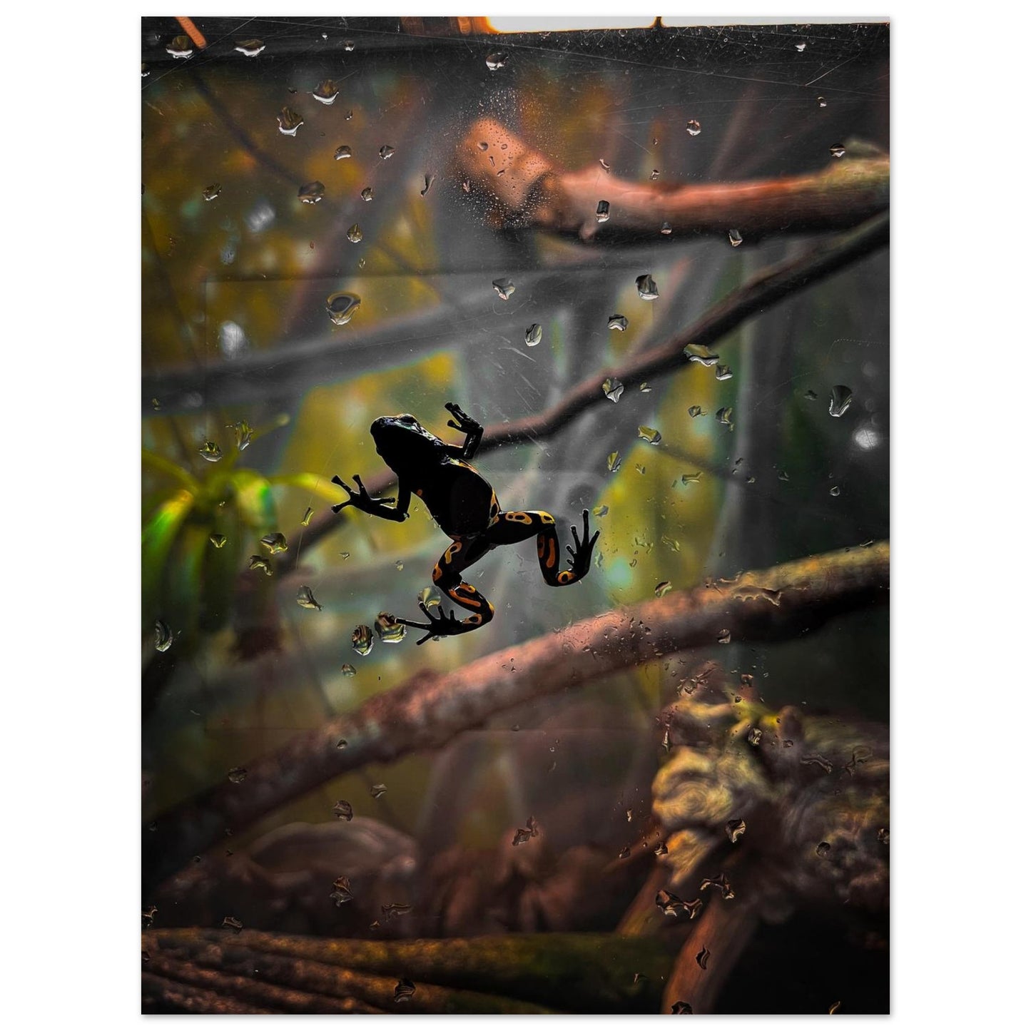 269f5856-07a2-4def-b72e-2f1bc6eed4a1