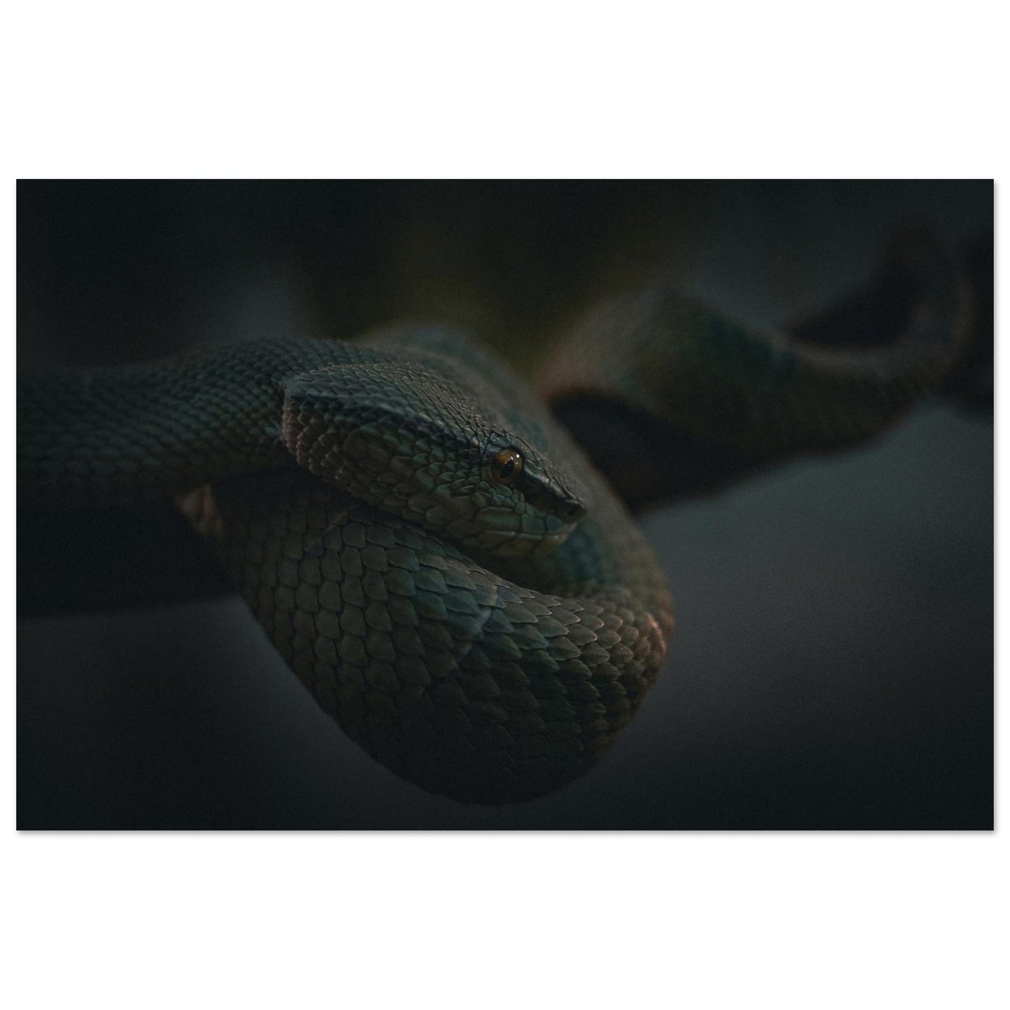 26c4f7b2-8103-47d0-a376-7babb3413dcc