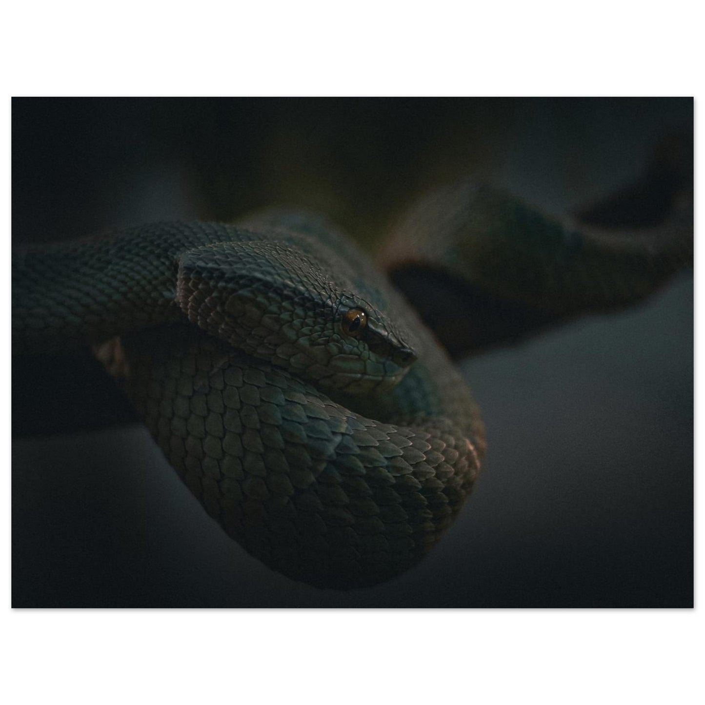 2871eb9d-4bbd-477a-85bf-b10f5353f0bb