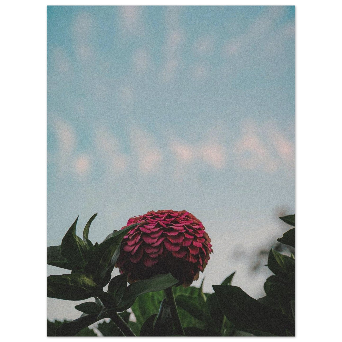 29109235-2d3d-49f4-9101-531c87fe612a