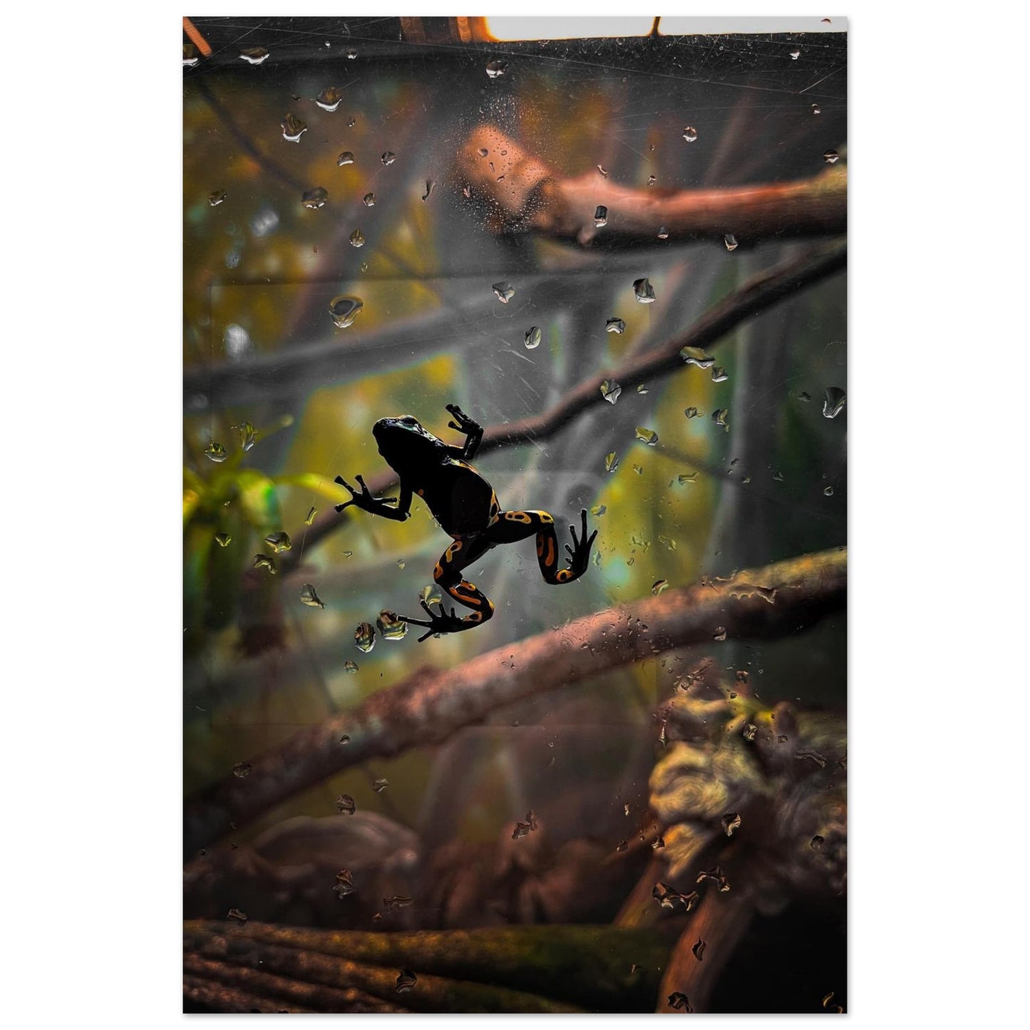 2b57001e-ee9f-4cb4-bae9-c51af3fefab7