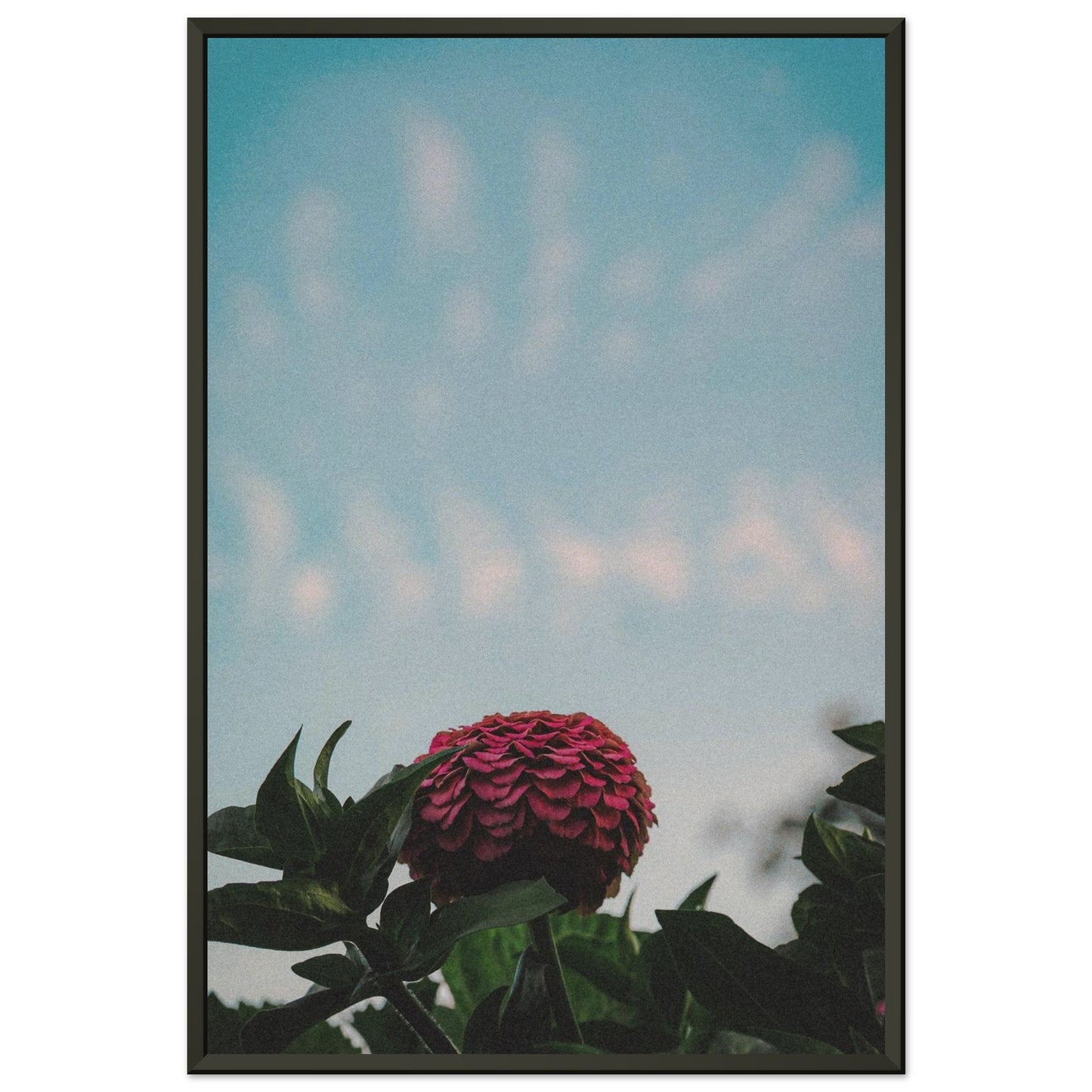 2c08be08-0c72-456c-9fd9-e81590ea0e79