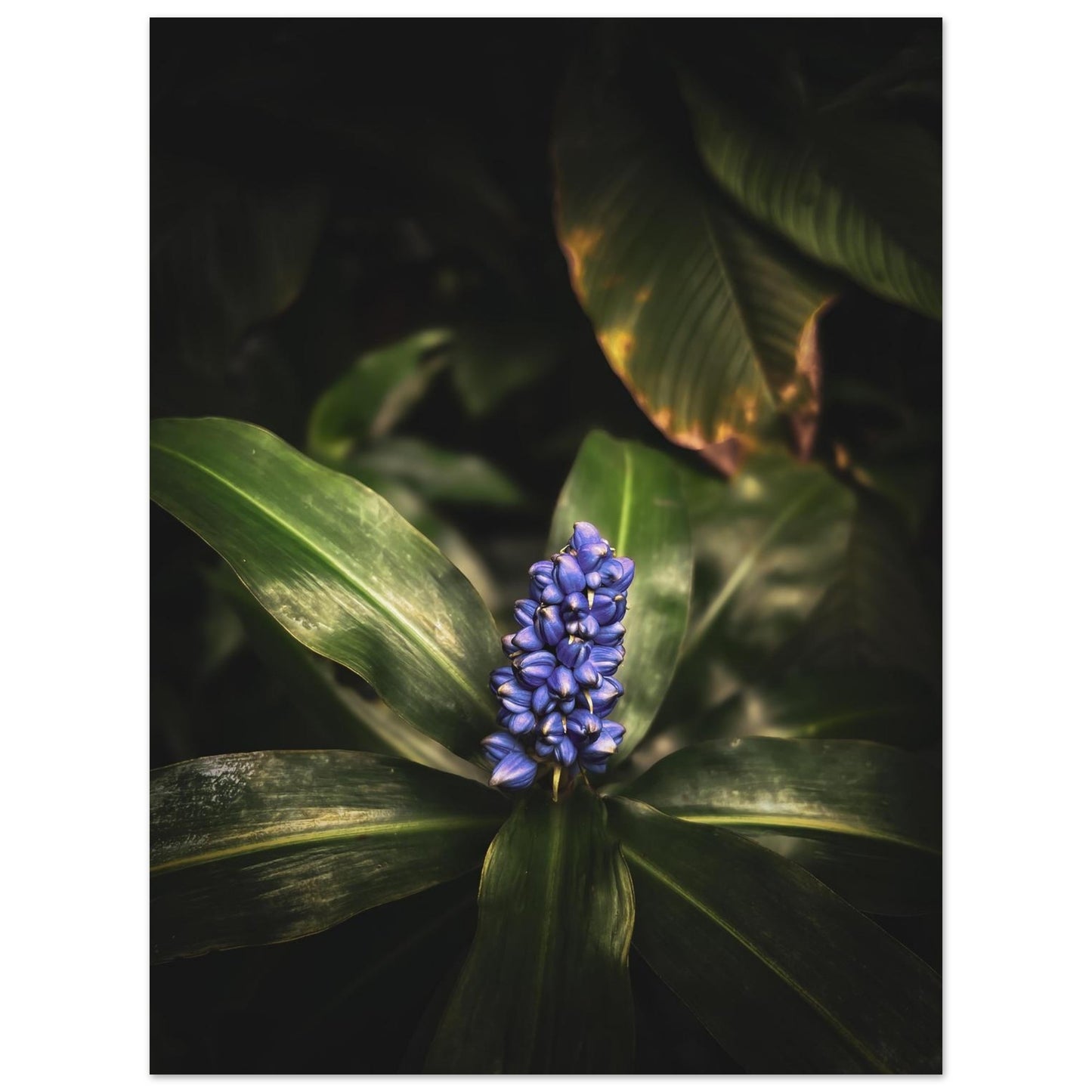 2d23f595-4a64-47b6-a5f9-b65a6d619a37