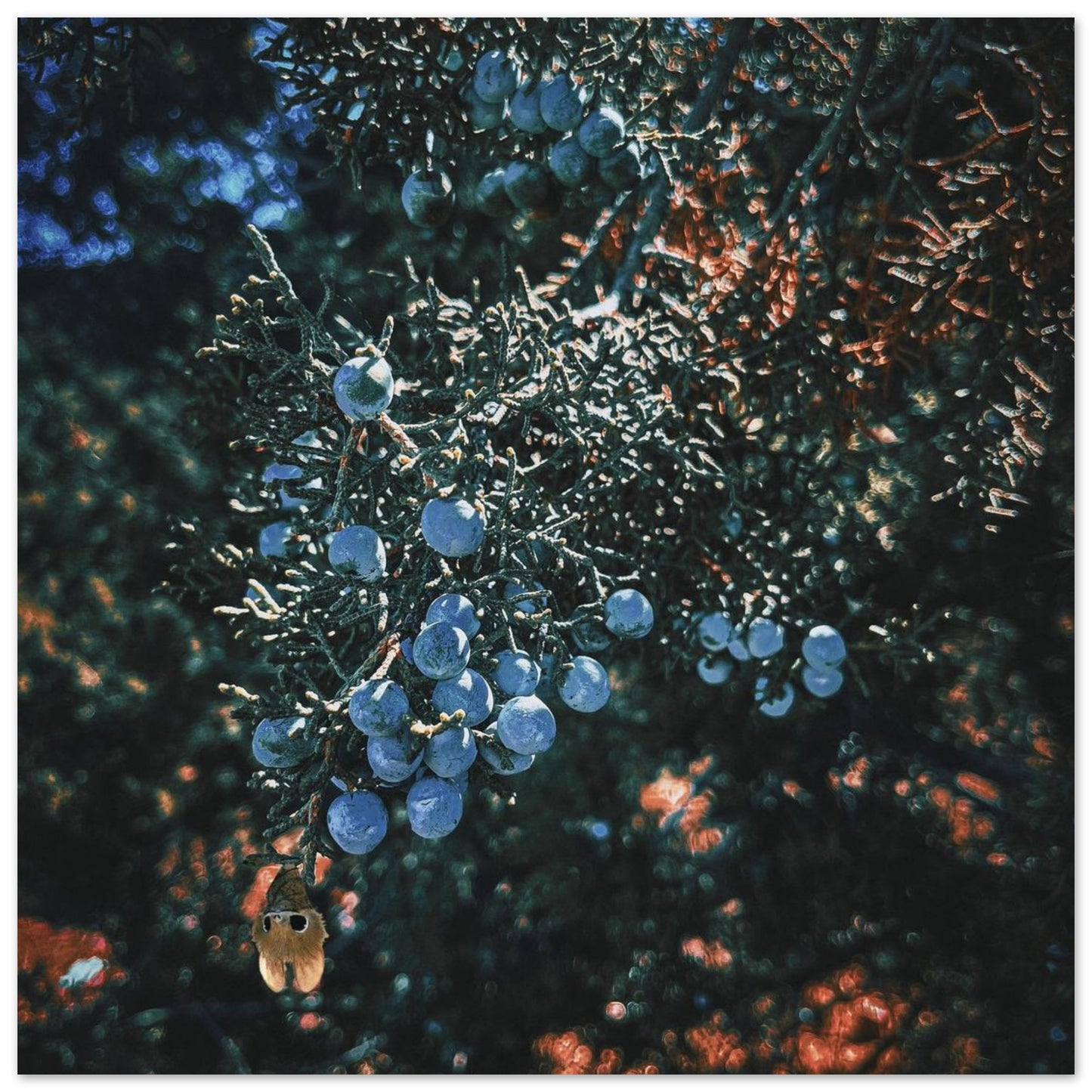 2ed90139-5238-4be2-baa1-b8d62dafdd90