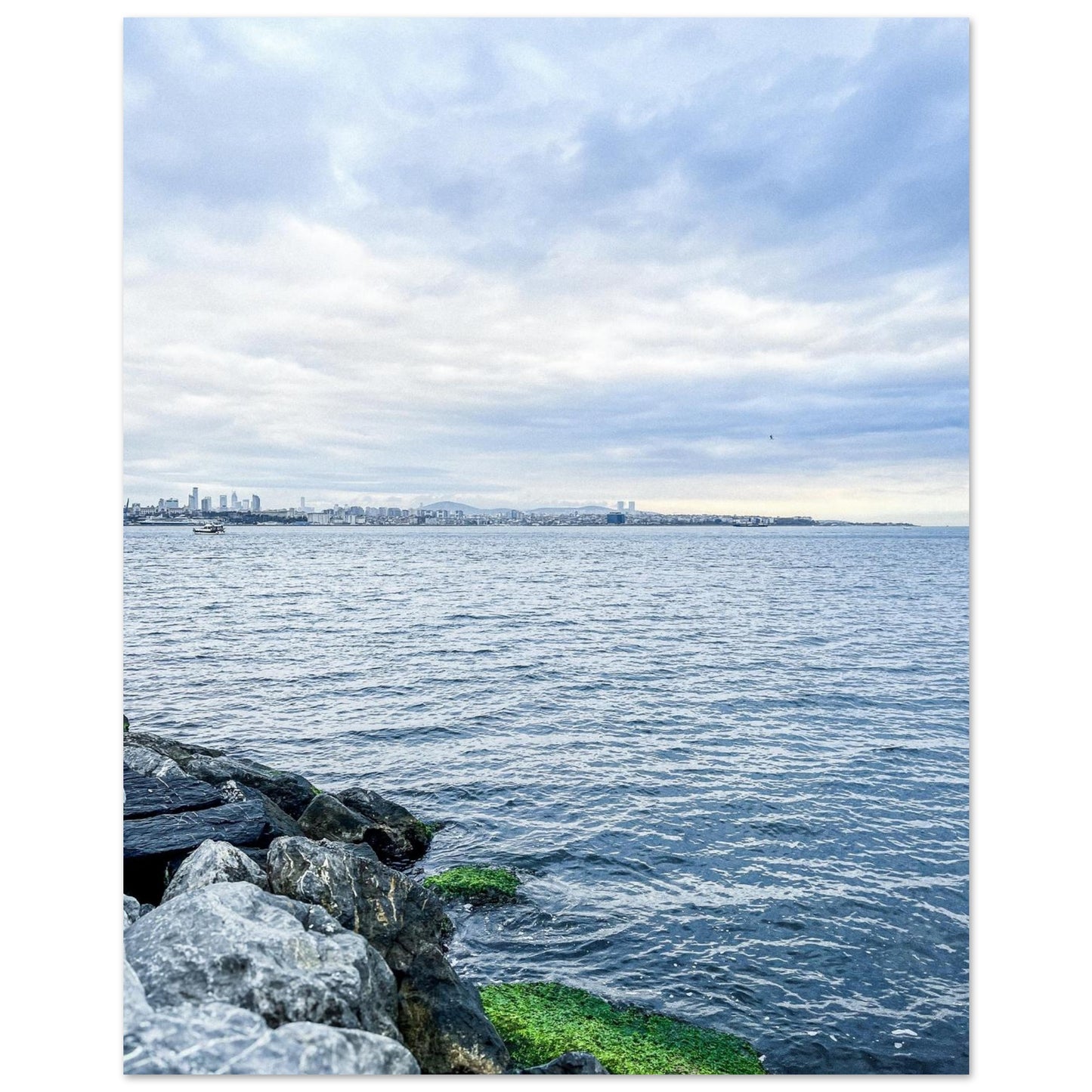 2eea3e82-b19f-4ebd-b704-321ab3b2b86d