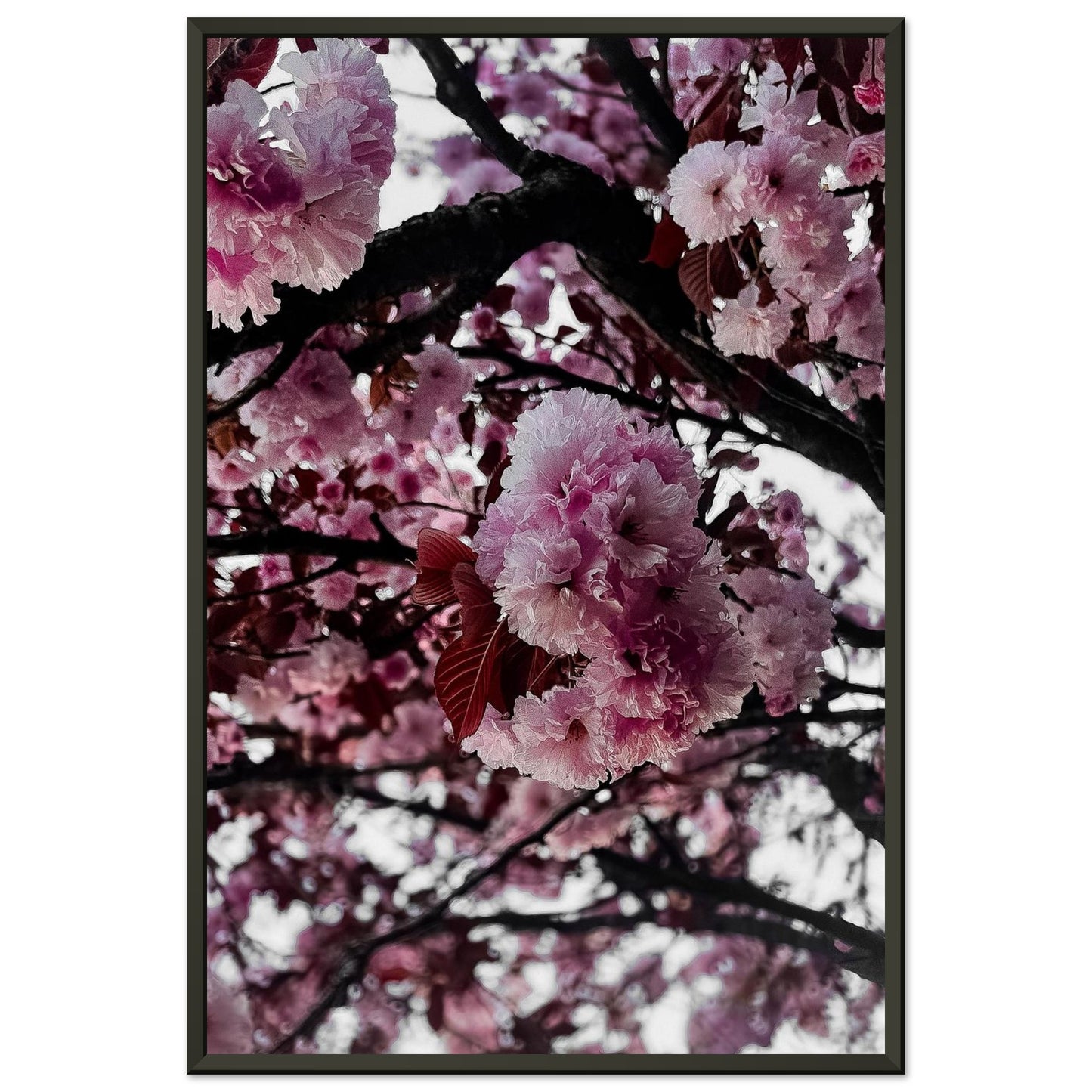 2fc6677c-7b57-4ea7-a7fd-3f7ee680ca8a