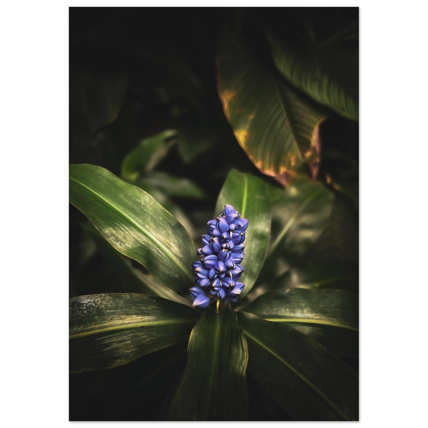 30b3eeb0-157a-4c1d-99ea-632af6c54ef0