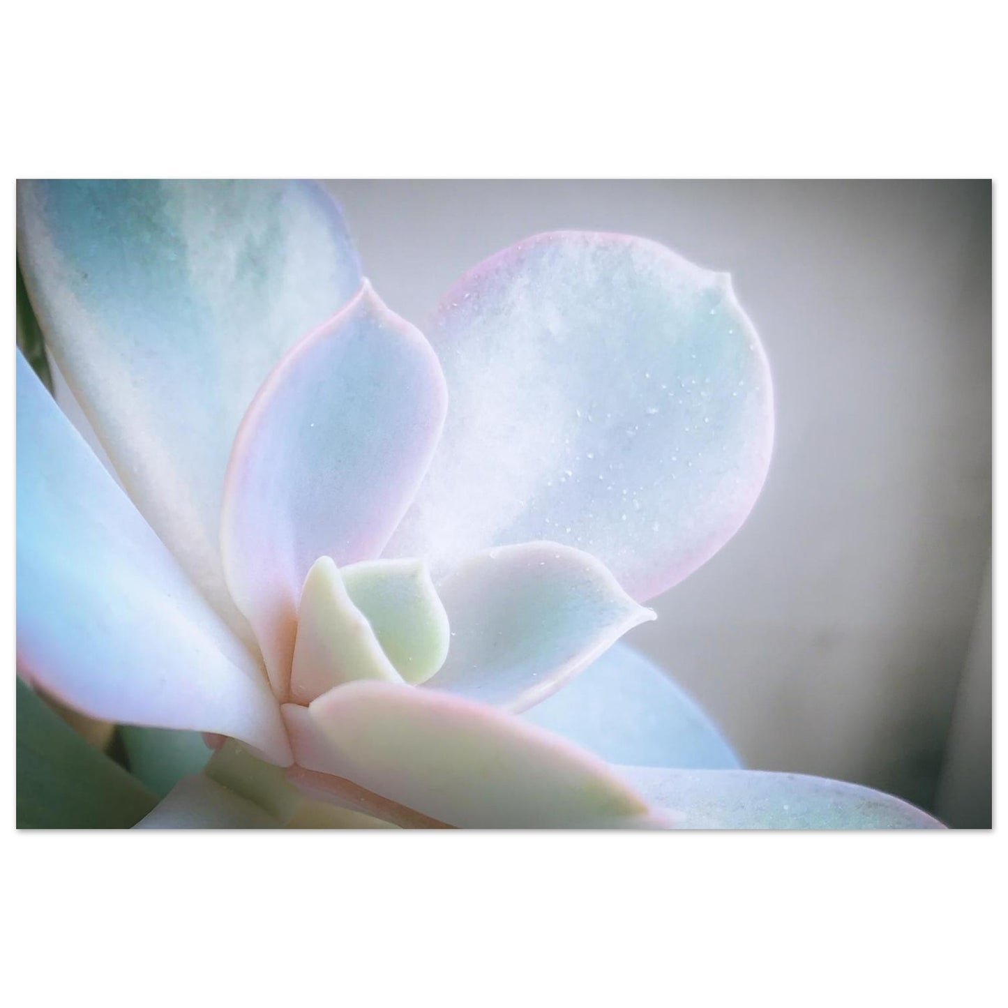 30d9eeed-9415-436d-b626-5b59d01bd896