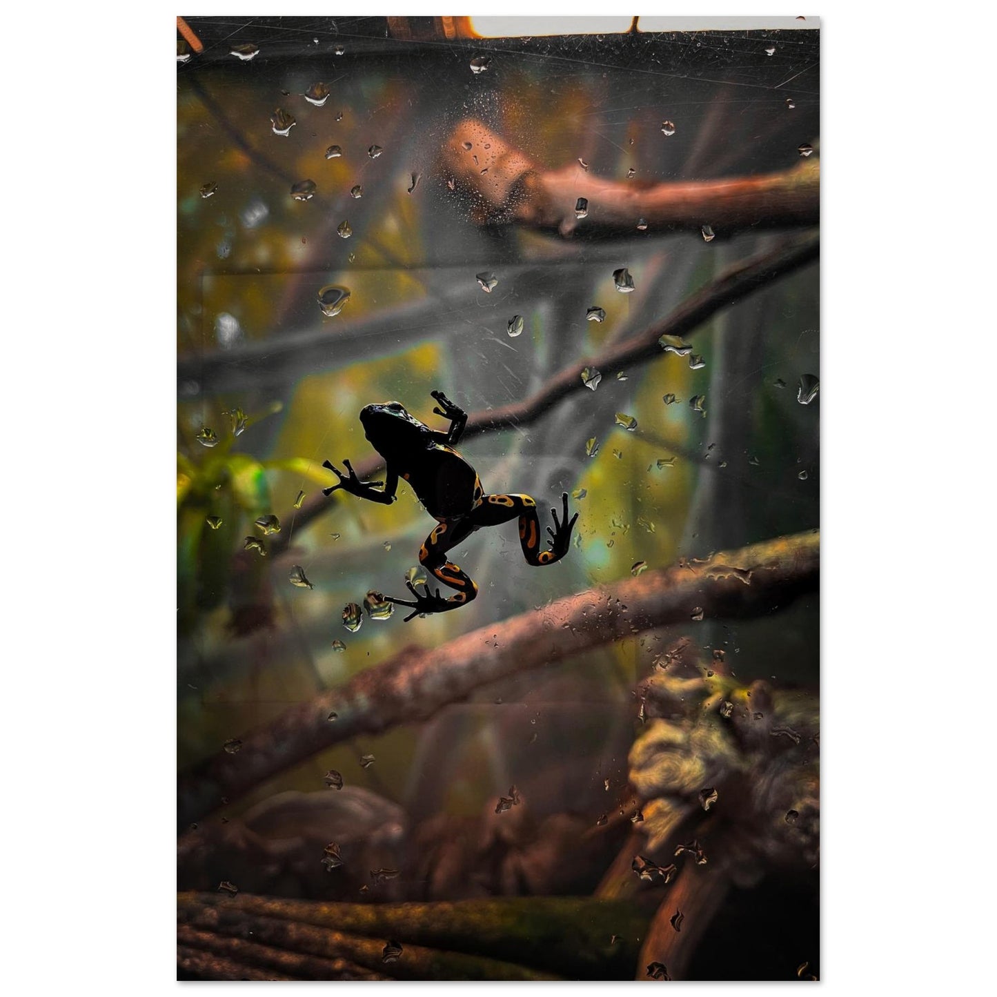 312577df-ca1b-4aa1-99f3-32b44ae427e3