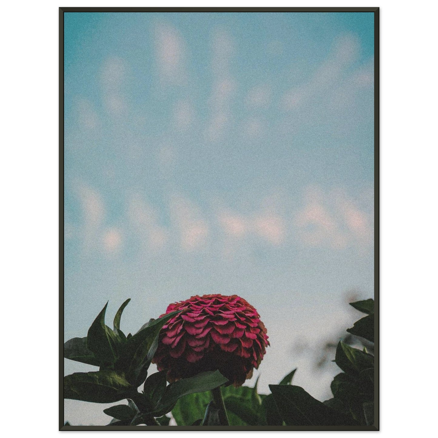 328c8a5c-998d-40c3-819e-6dde479147f2