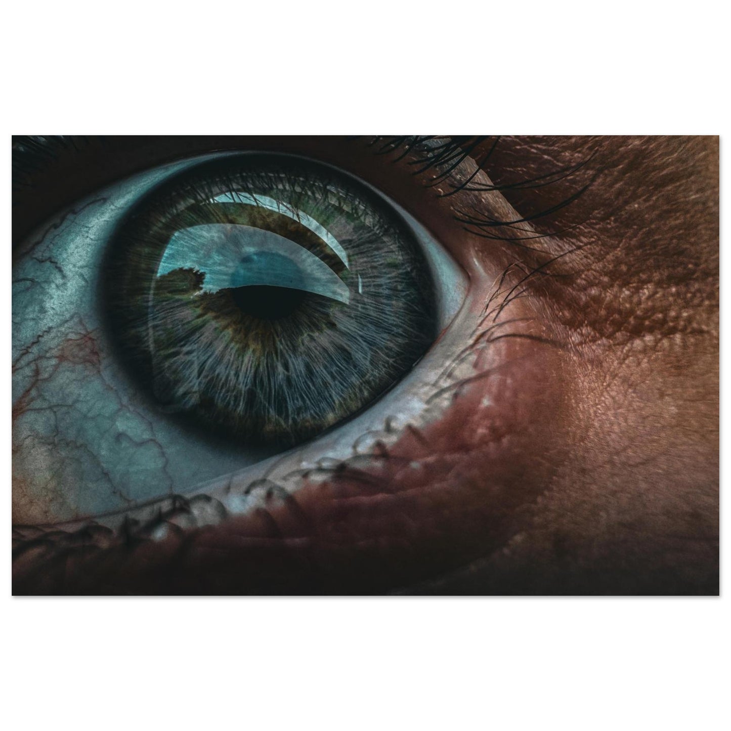 329373bb-16ee-4ae4-afd2-9813c021901a