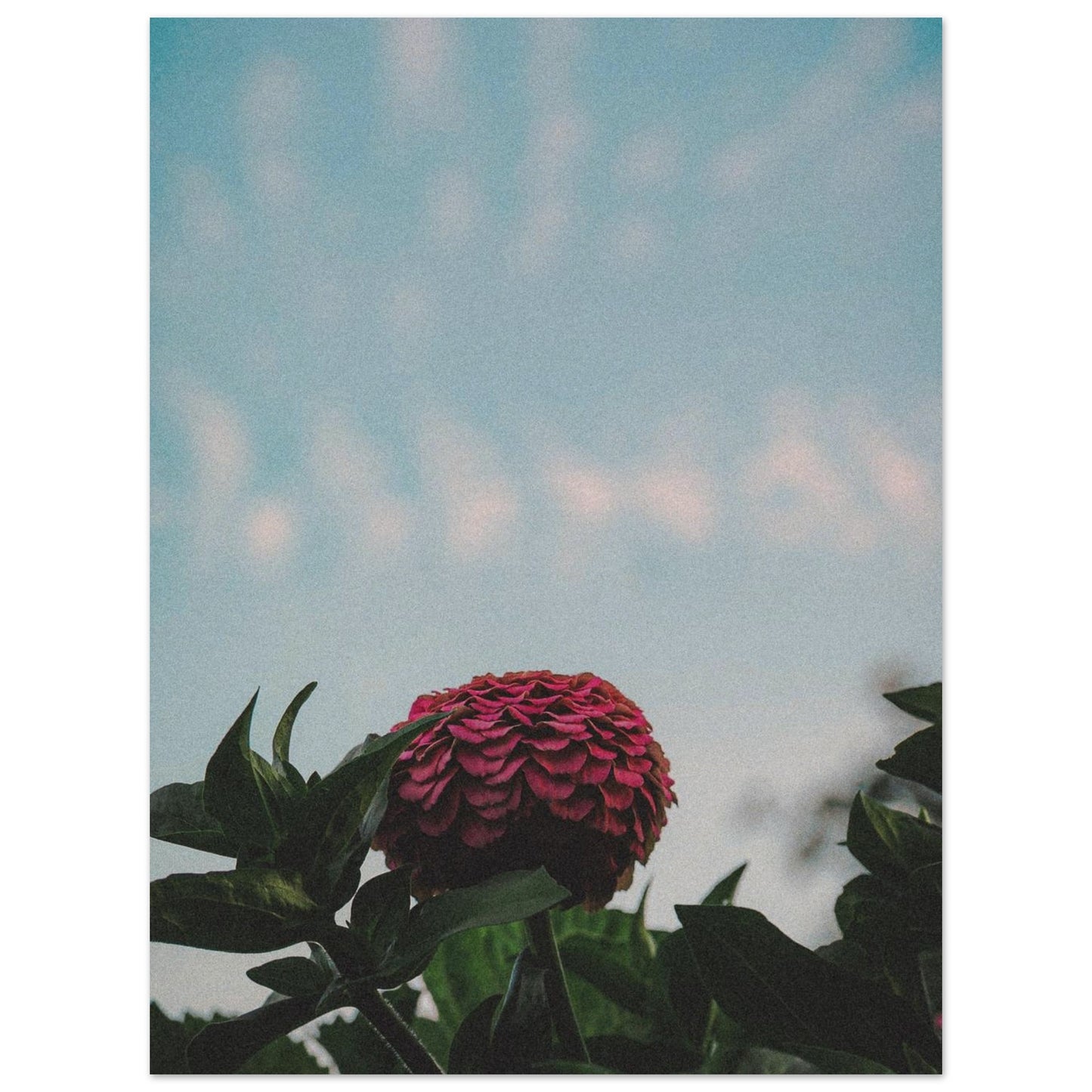 32c789e9-364f-4b92-9ed1-3989412b2f16