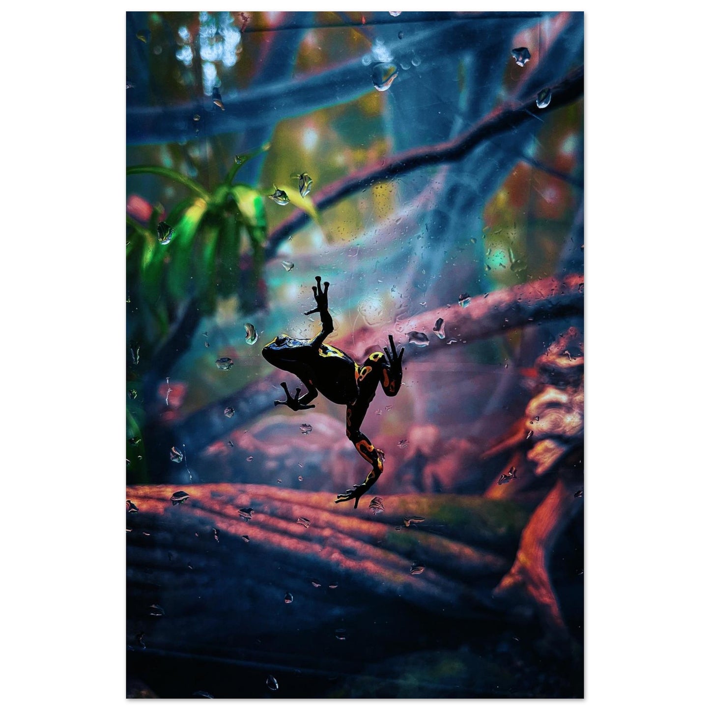 335b8610-bfa1-4fb9-b0fa-bd1e5a3f02e9