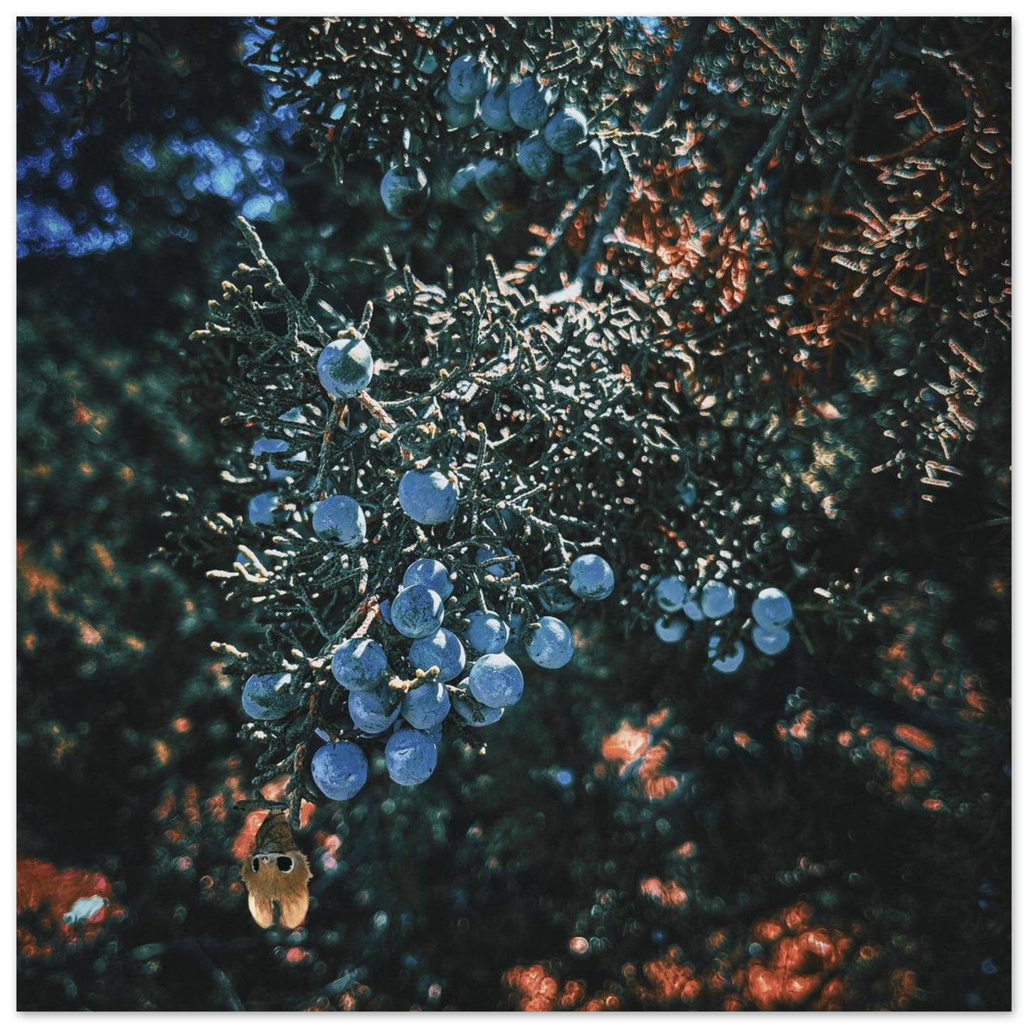 33f32894-7308-465b-bb70-779f17991fcd