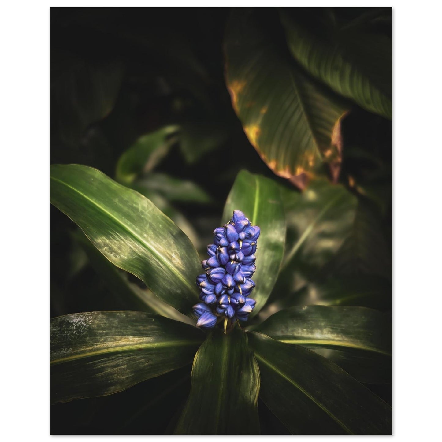 34e3d482-d6c3-41d3-97e2-0493fa7fffcb