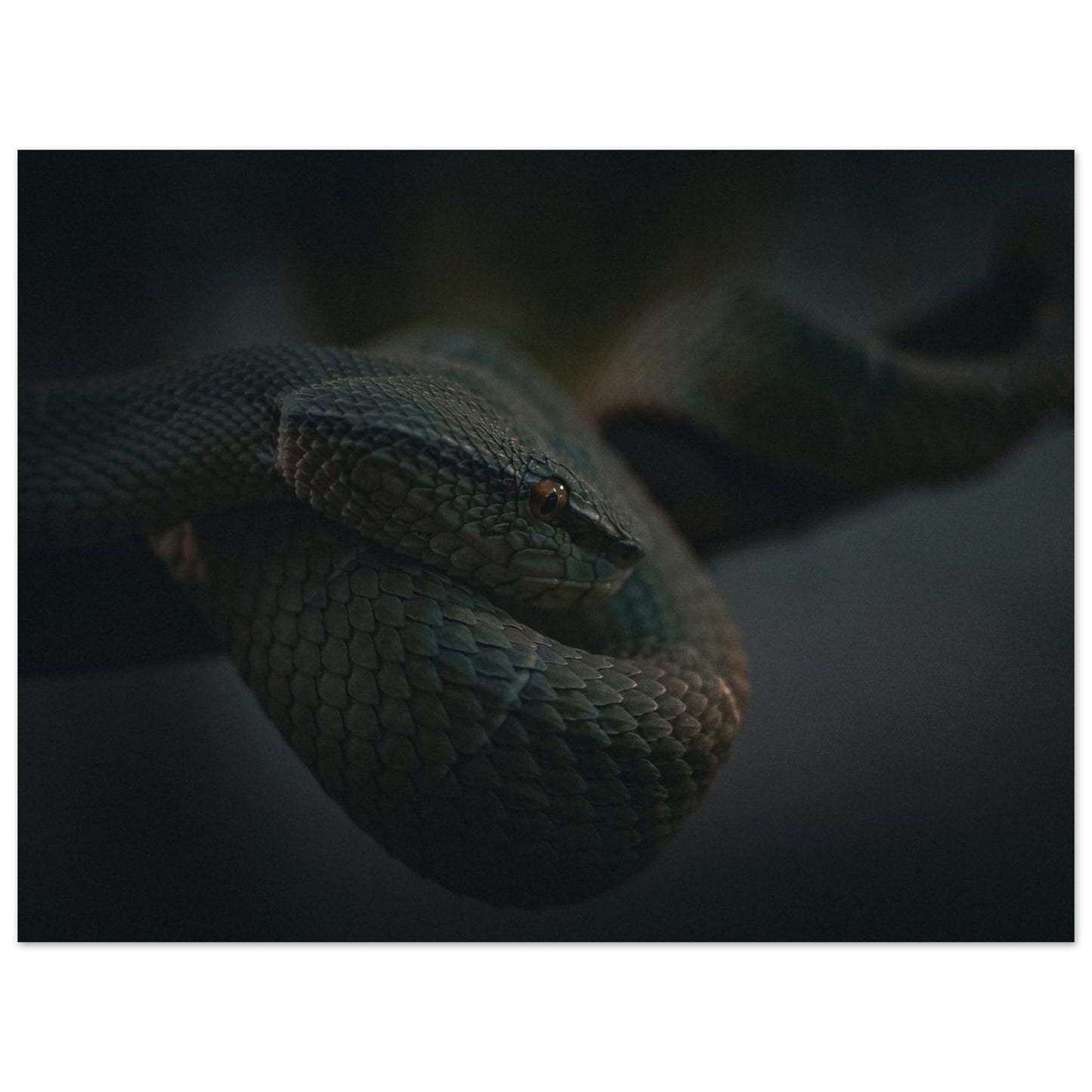 35cae64d-351b-4b9c-9d27-e30809b60c01