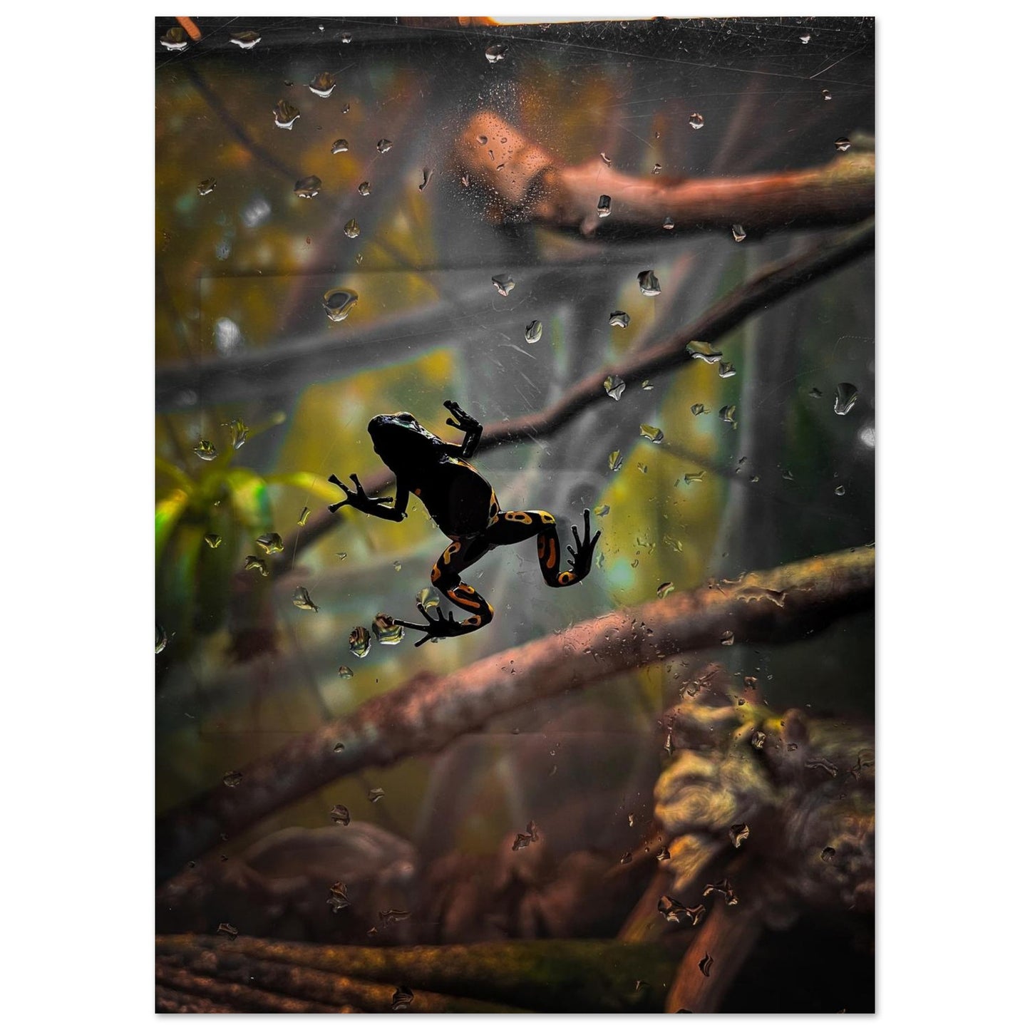 3627a5f3-1a07-4d7f-a998-b39947de2dd8