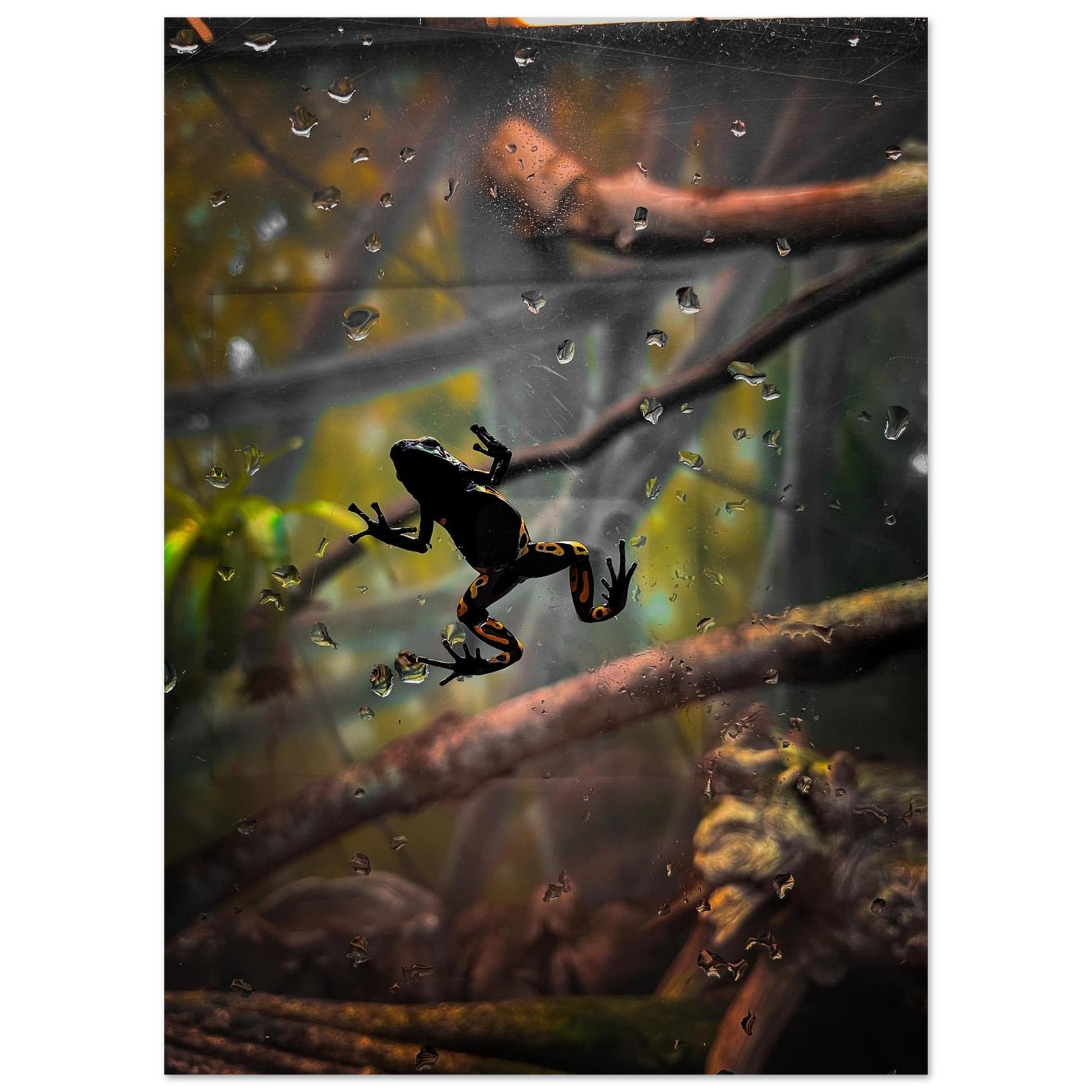 3627a5f3-1a07-4d7f-a998-b39947de2dd8