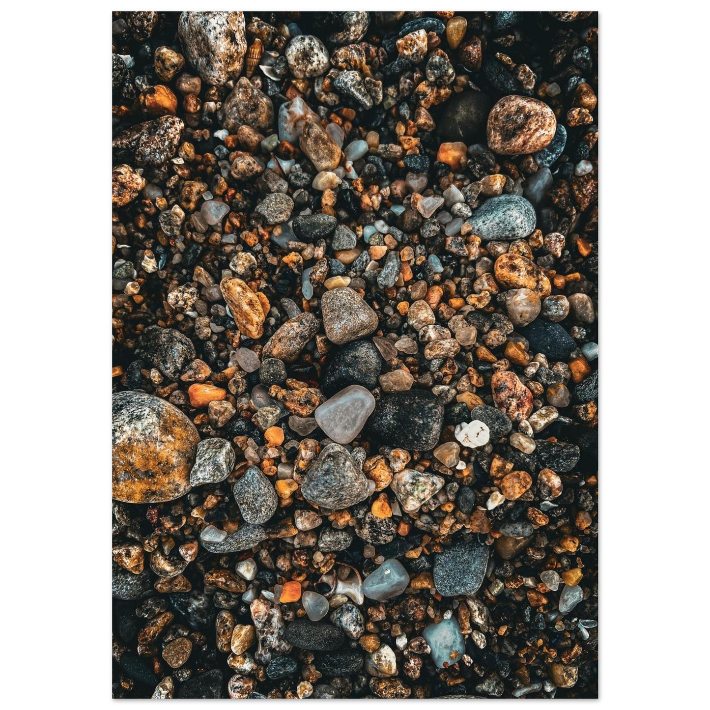 36cef36a-8301-49bc-a190-5f0ae7345c31