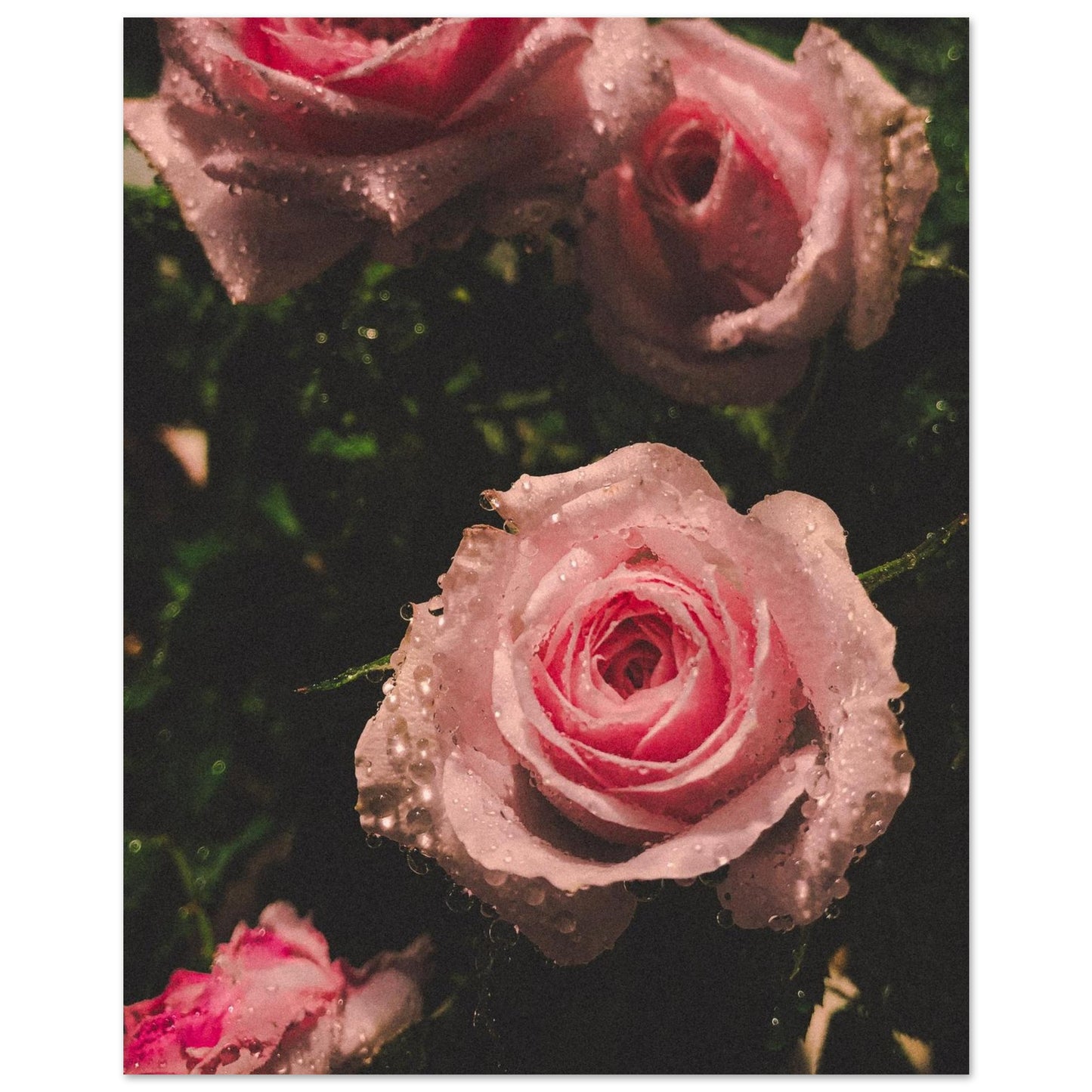 372c9768-e95e-4b2b-9bb1-9f9bb47ec5e1