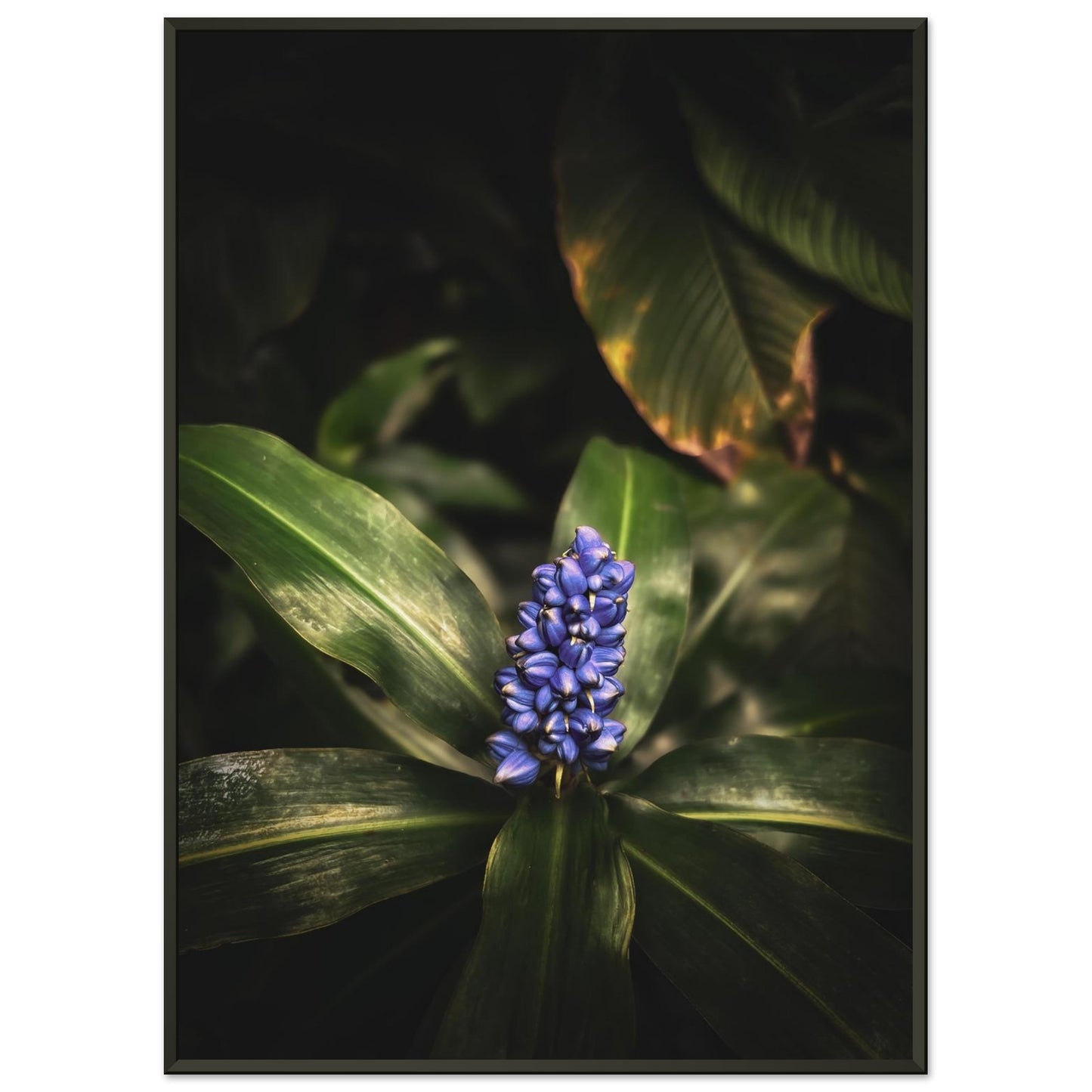 3848ca0f-75f1-4d4c-825b-78a47b329767