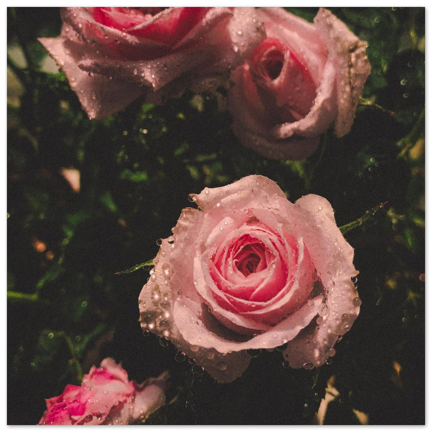 38aa42f2-7c7f-4210-bad3-a373dde19fbb