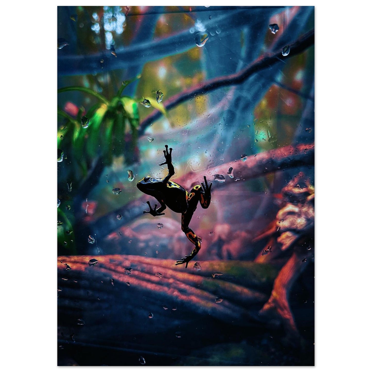 38fcd653-402d-43a3-bd19-07f16ccebec5