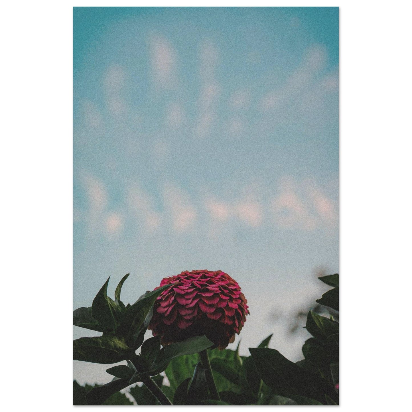 3936a36f-1561-4097-ad9d-221b71774713