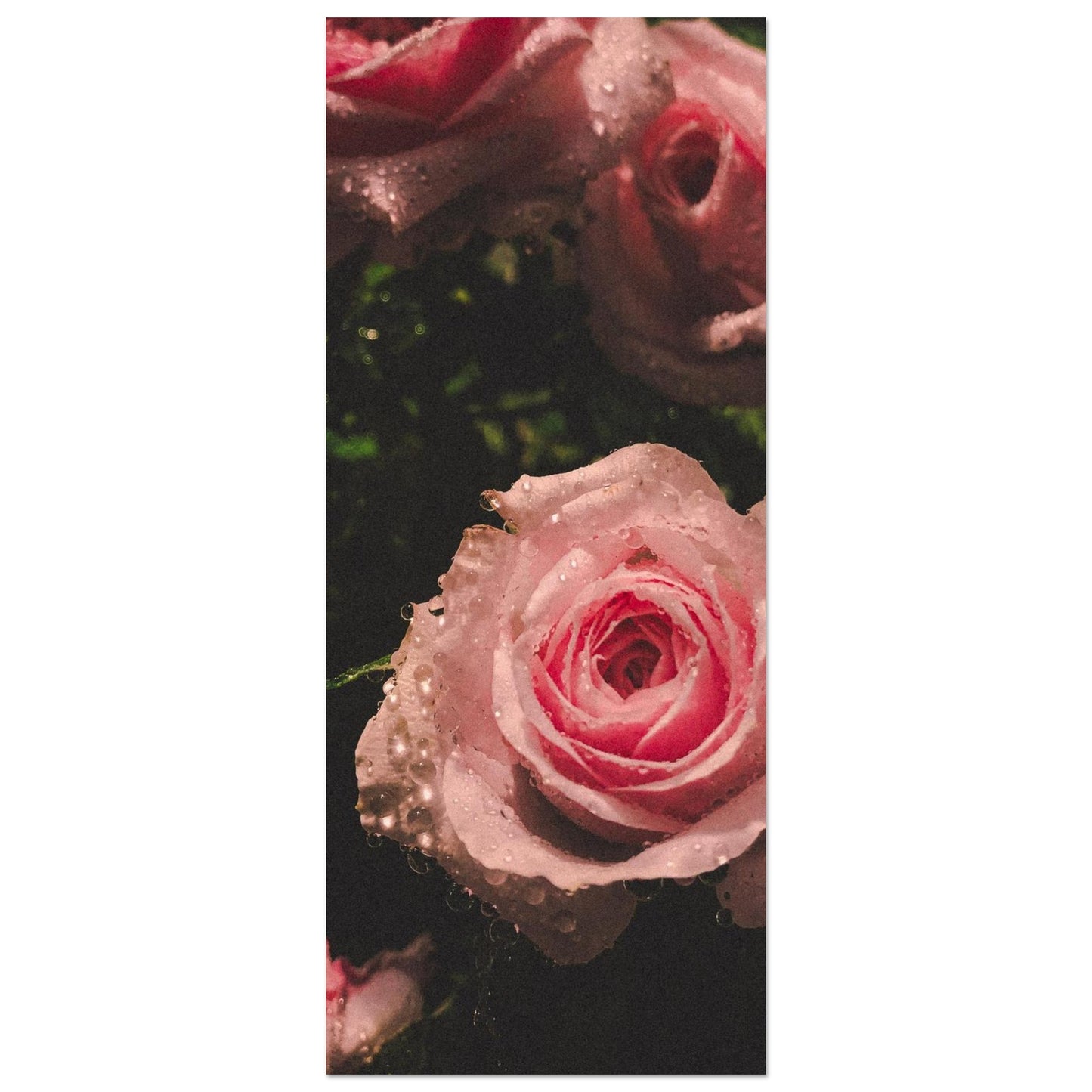 3a900a67-c04b-4e06-af1b-5d5e43a9183a