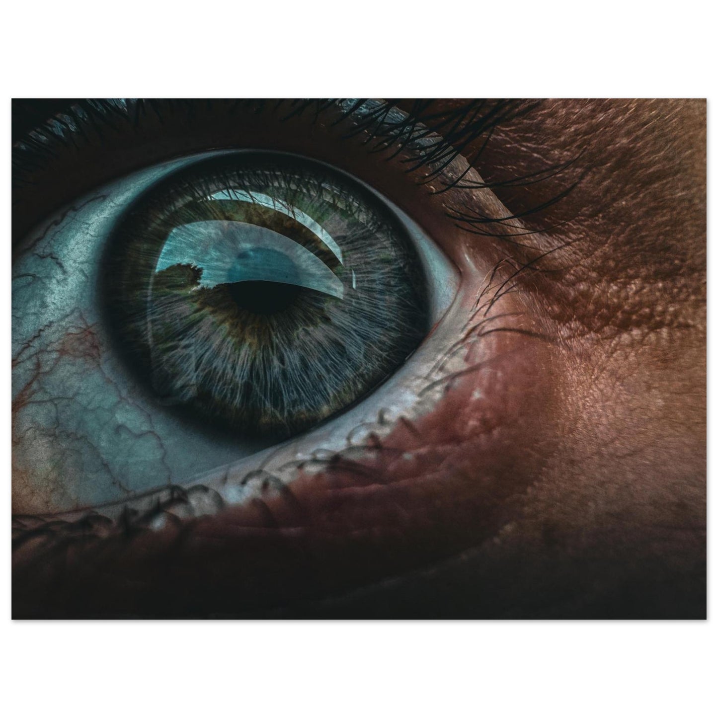 3d388beb-1795-4ee9-bdc8-6bf783d5b715