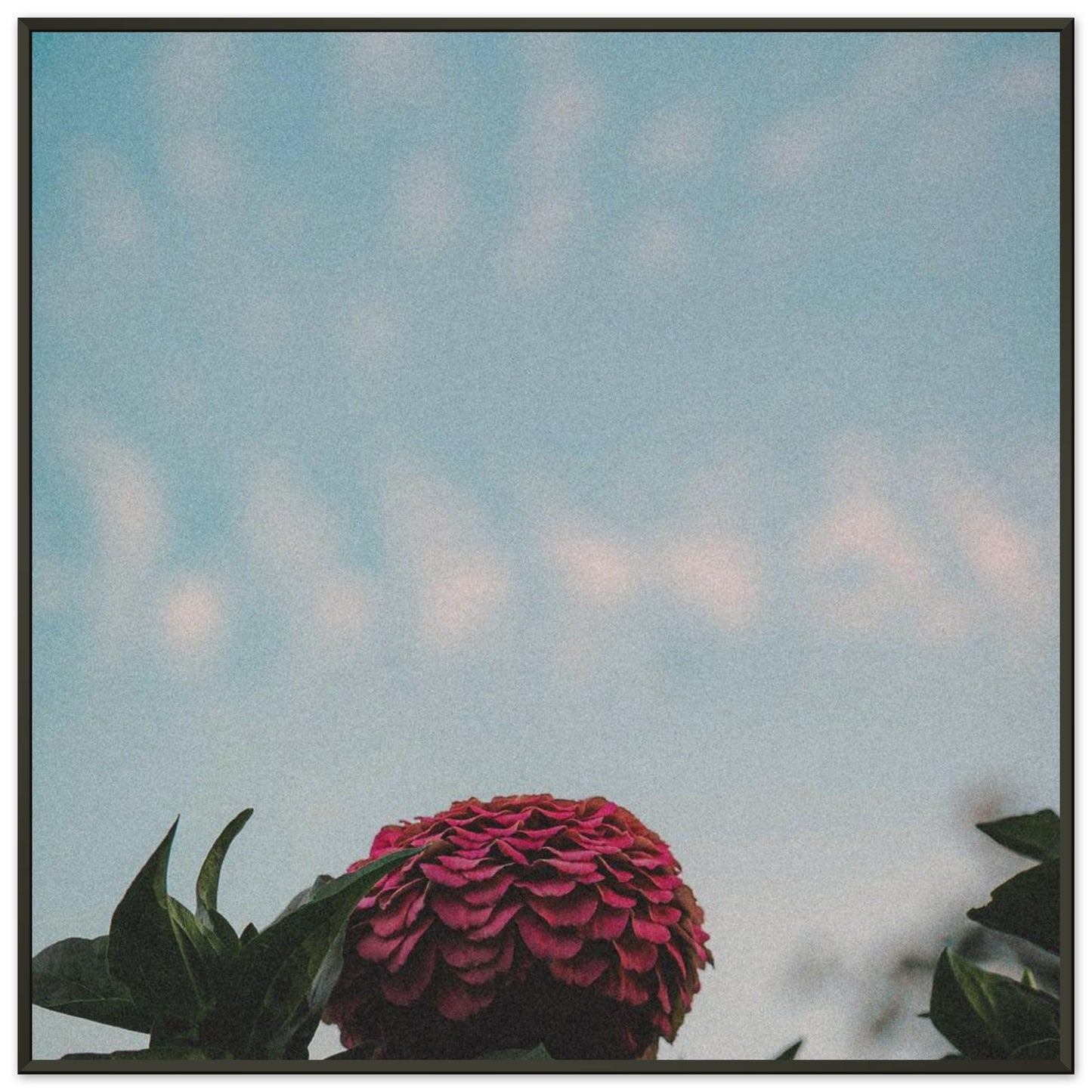 3dc337c4-826e-439d-bc66-2558762ac29a