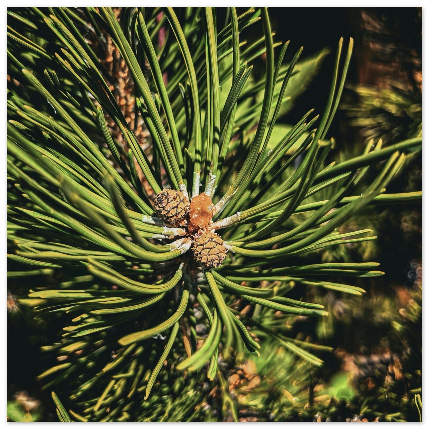 3eac8709-35c6-4747-9e02-3aaaedeb2fe5